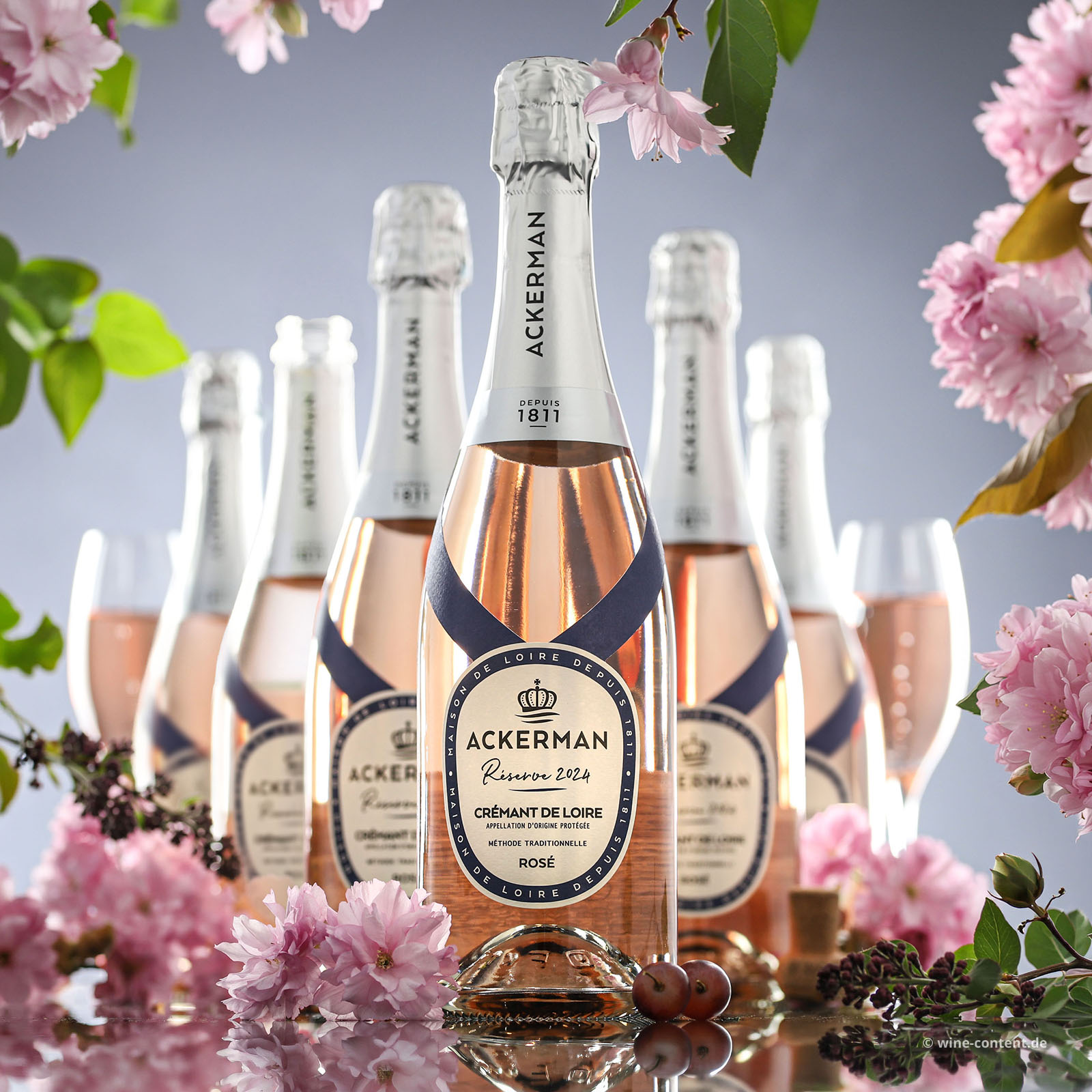 6er-Sparpaket Crémant de Loire Rosé 2024 Réserve Brut