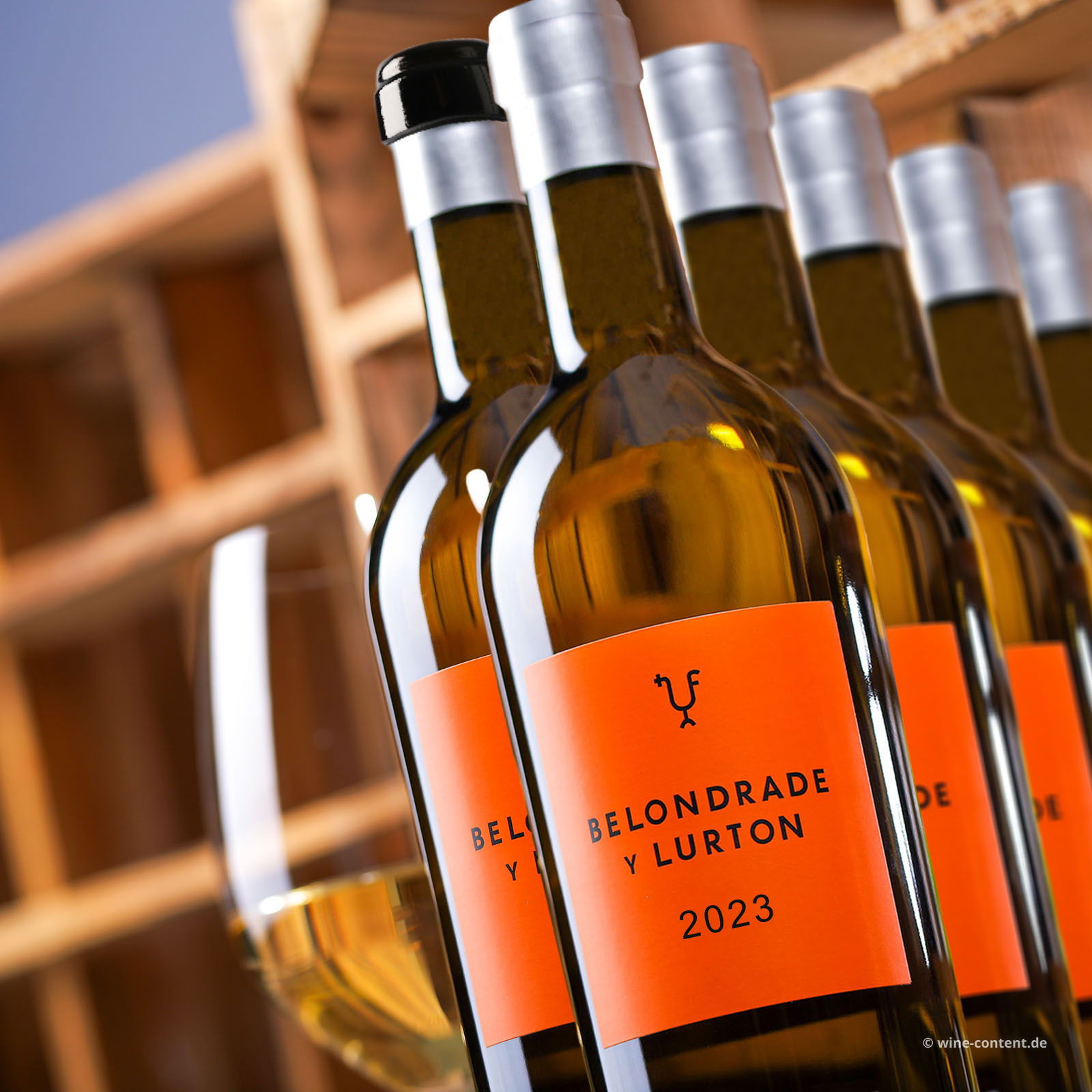 6er-Sparpaket Verdejo 2023 Belondrade y Lurton Bio