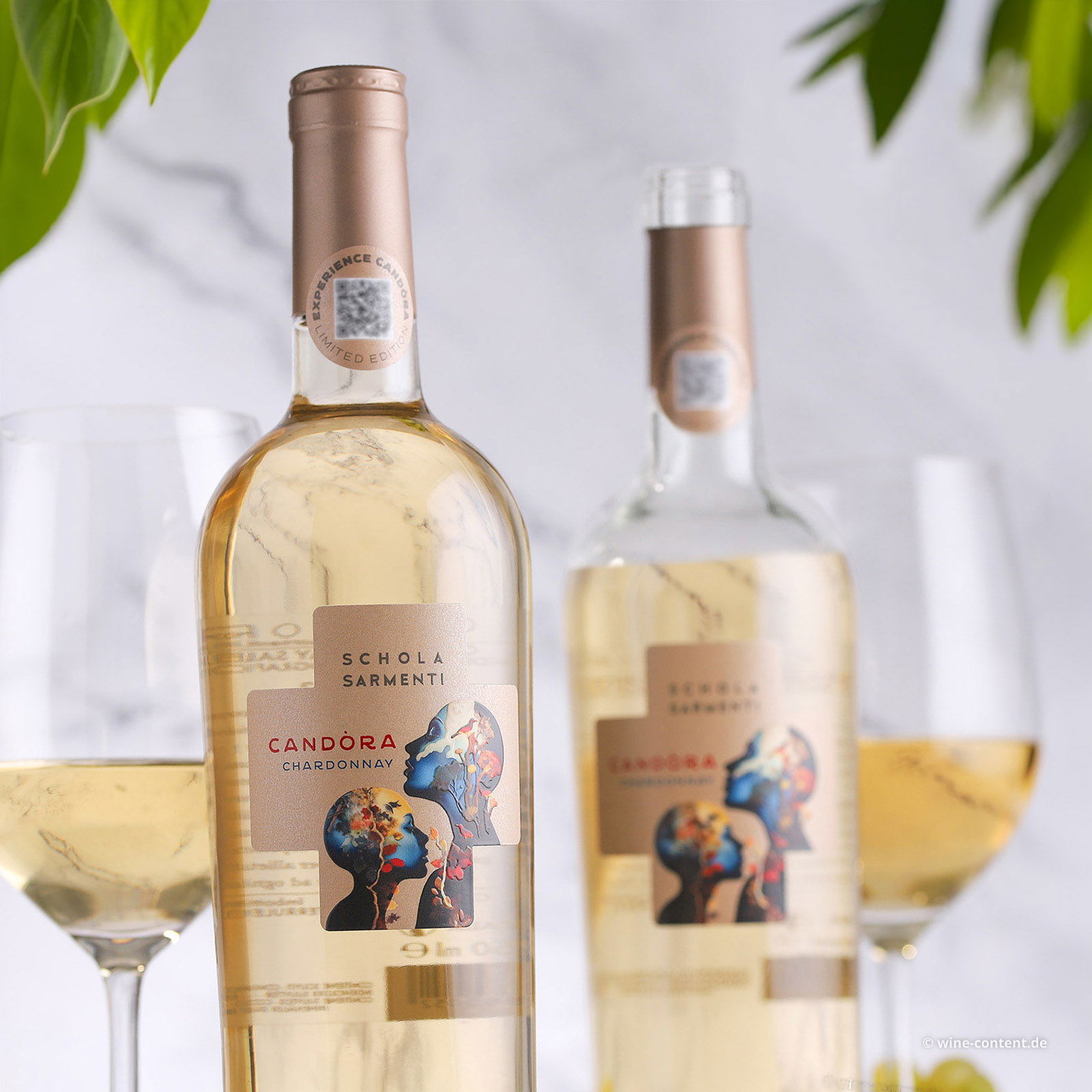 Chardonnay Salento 2025 Candòra