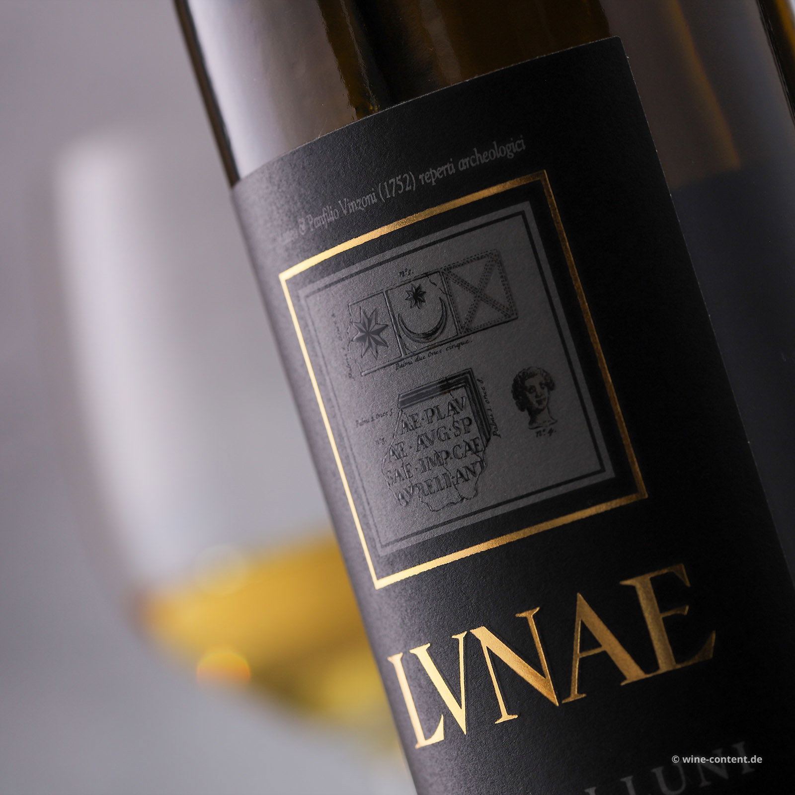 Vermentino Colli di Luni 2025 Etichetta Nera