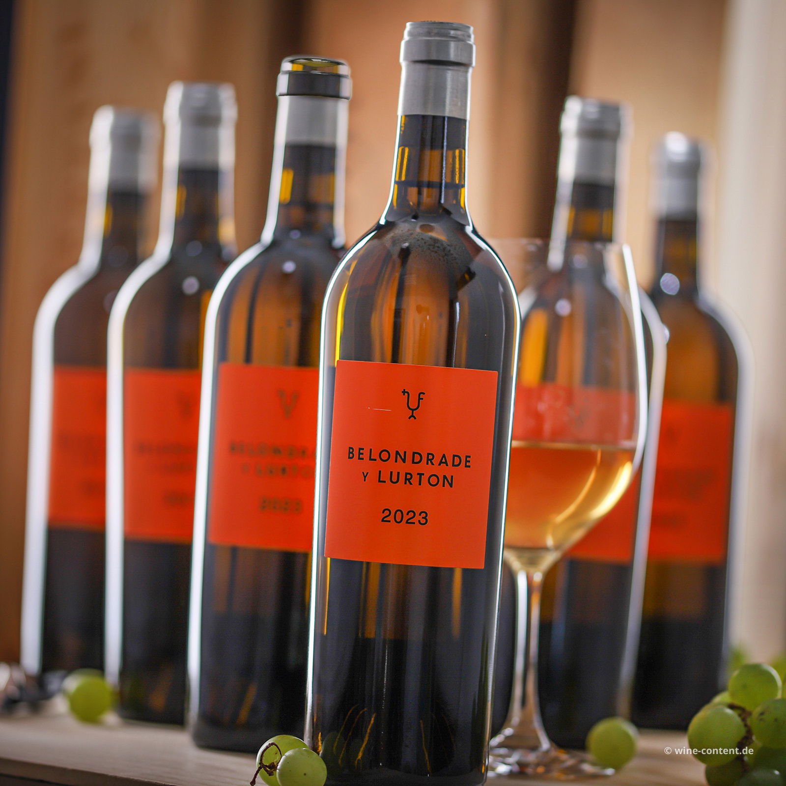 6er-Sparpaket Verdejo 2023 Belondrade y Lurton Bio