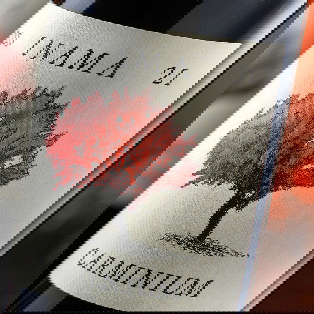Carmenere 2021 Carminium