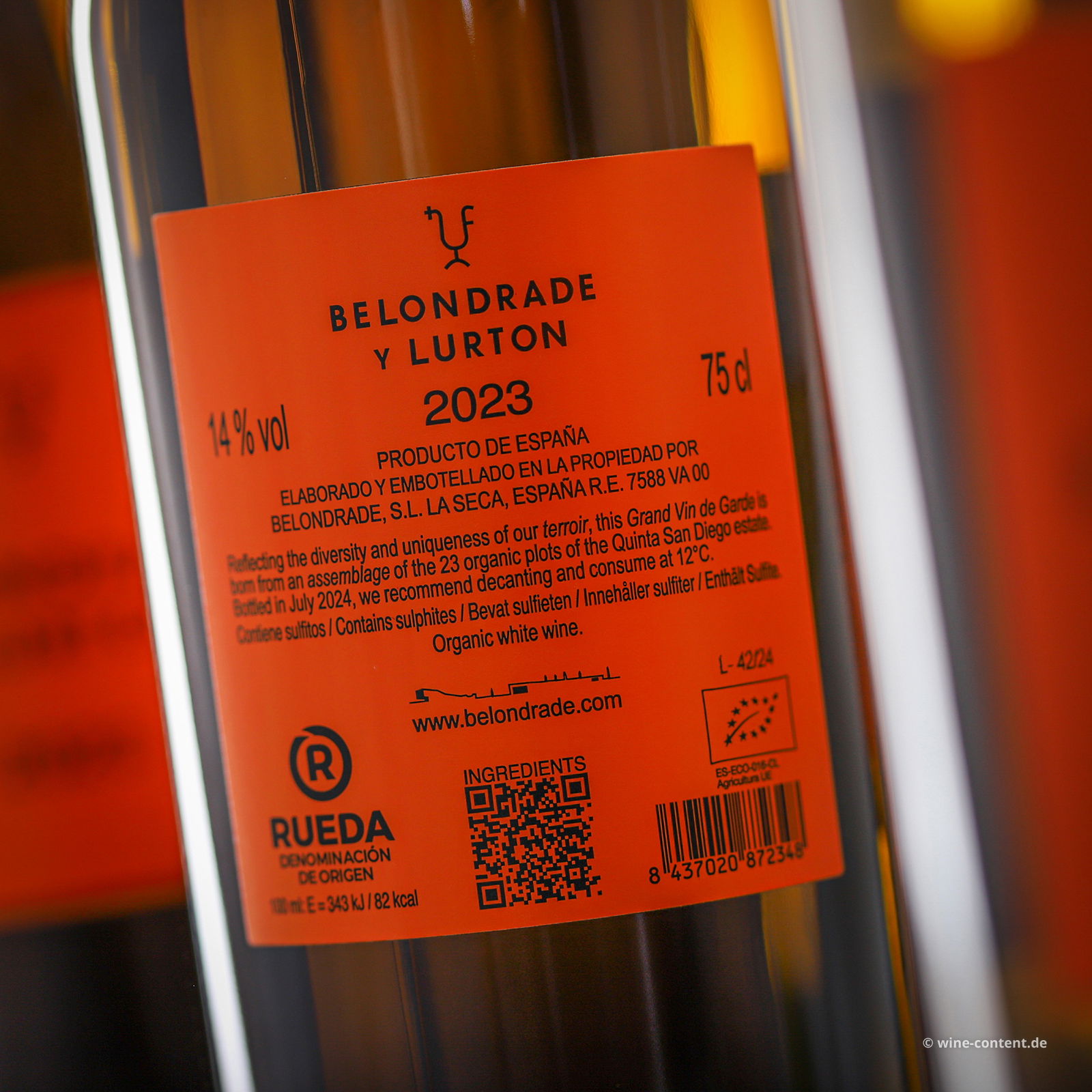 6er-Sparpaket Verdejo 2023 Belondrade y Lurton Bio