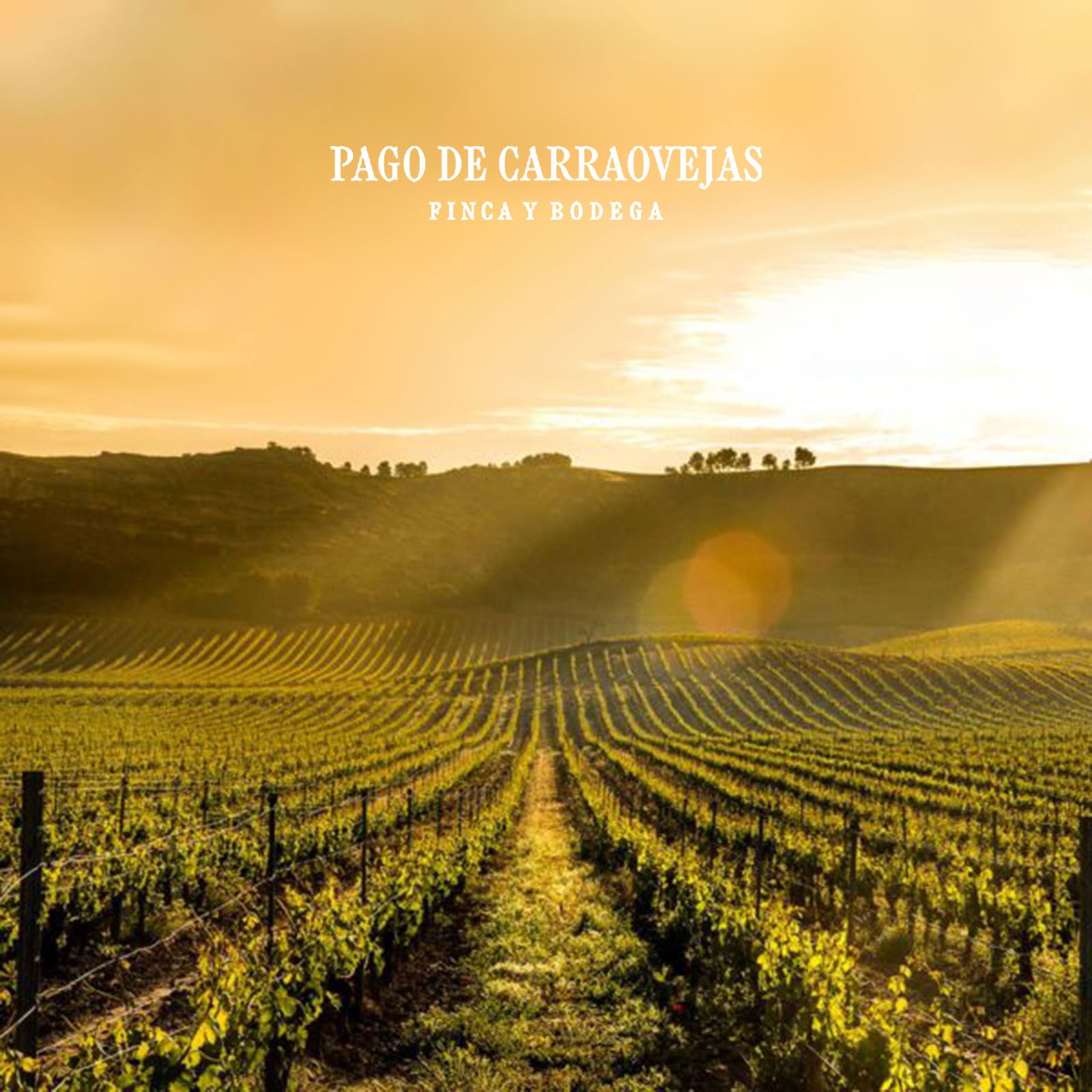 Pago de Carraovejas 2023