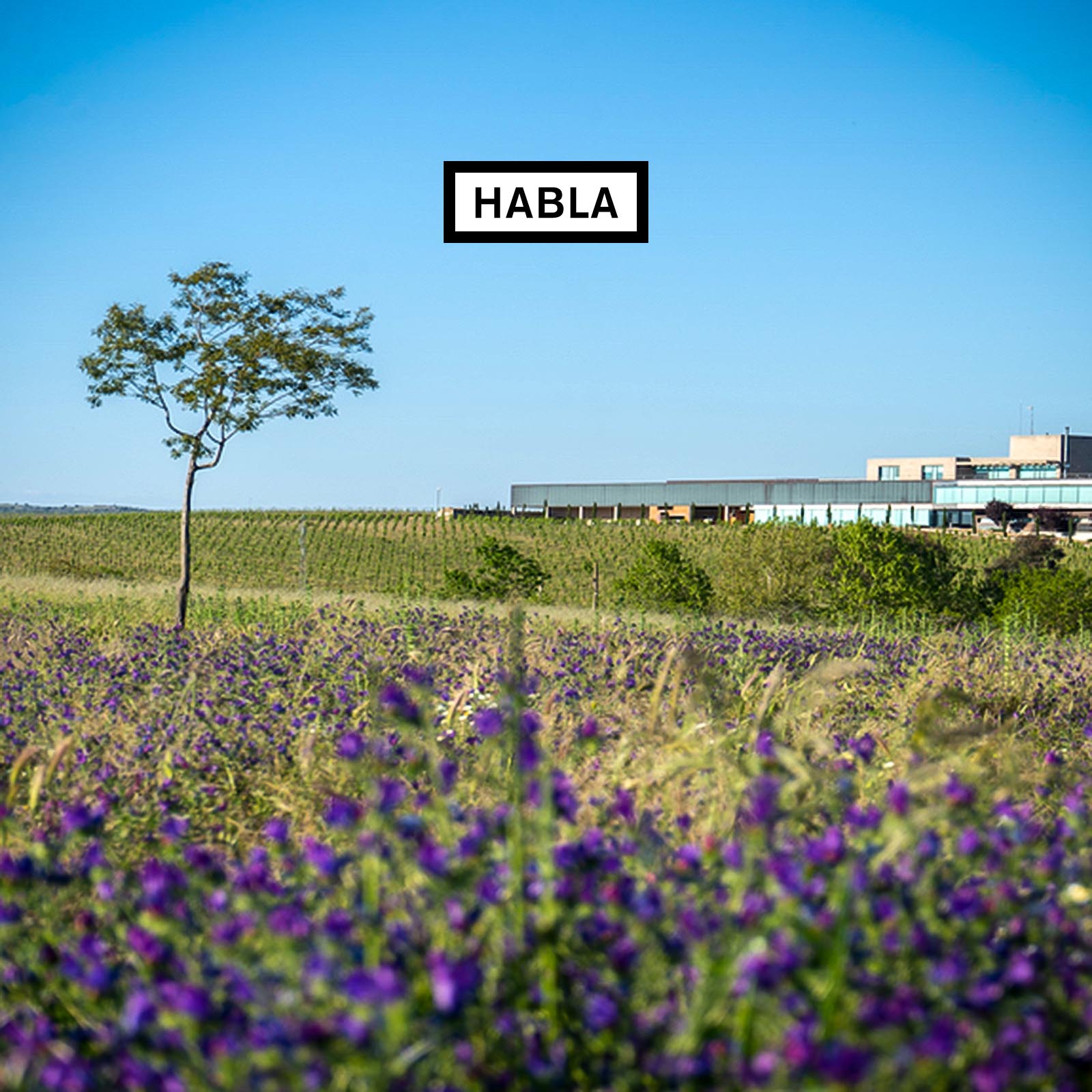 Tempranillo 2021 N°34