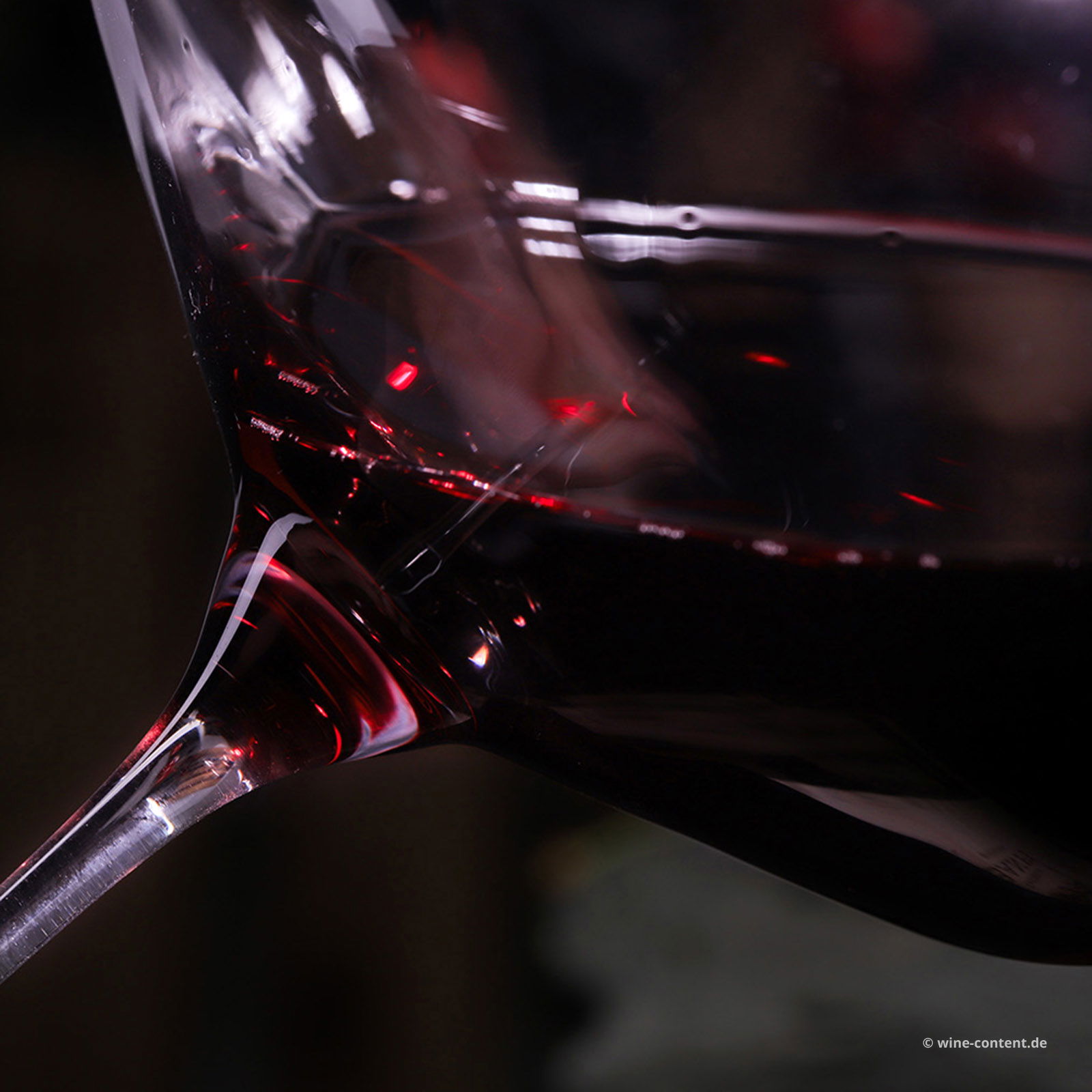 Valpolicella Ripasso Classico Superiore 2021 Catullo