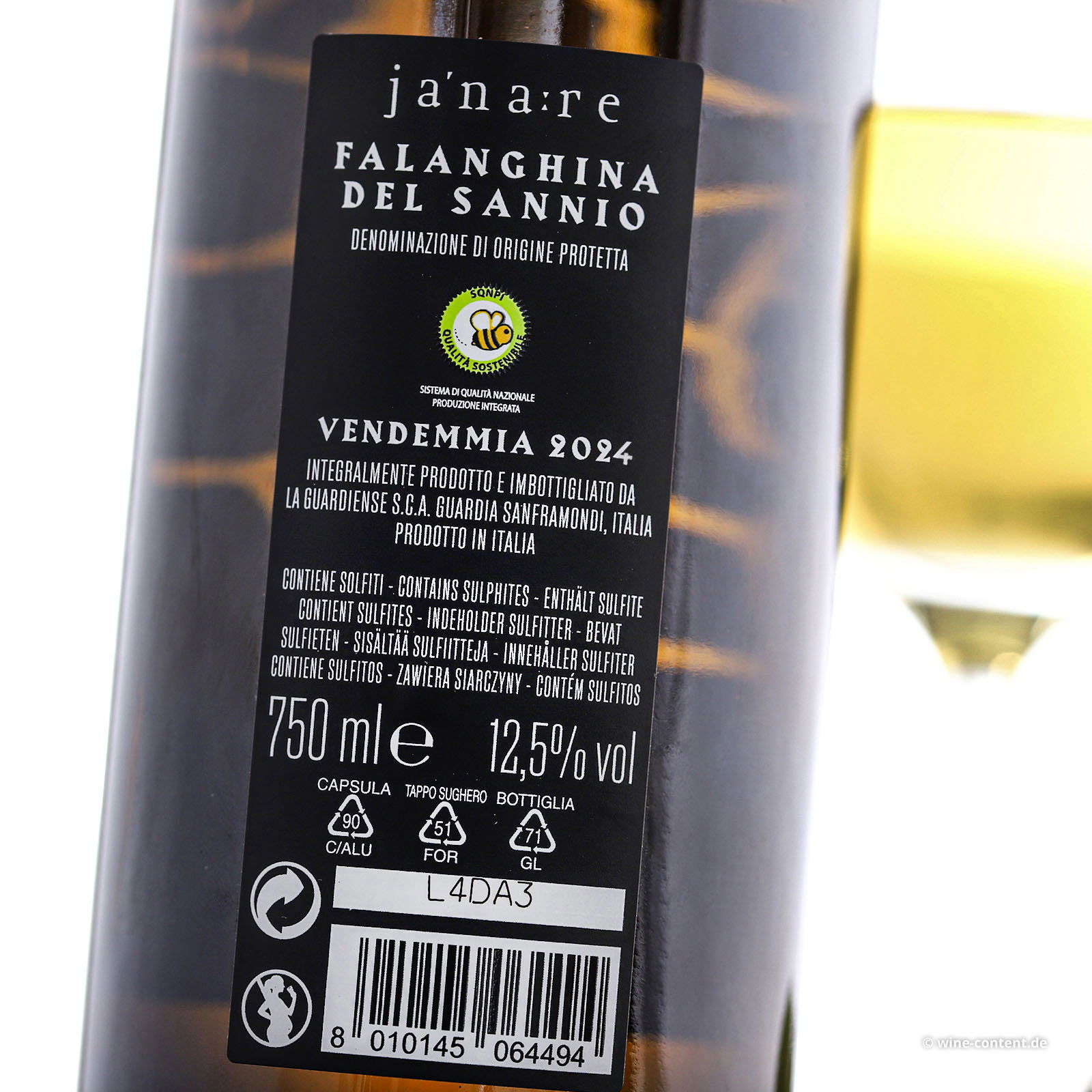 Falanghina del Sannio 2024 Anima Lavica
