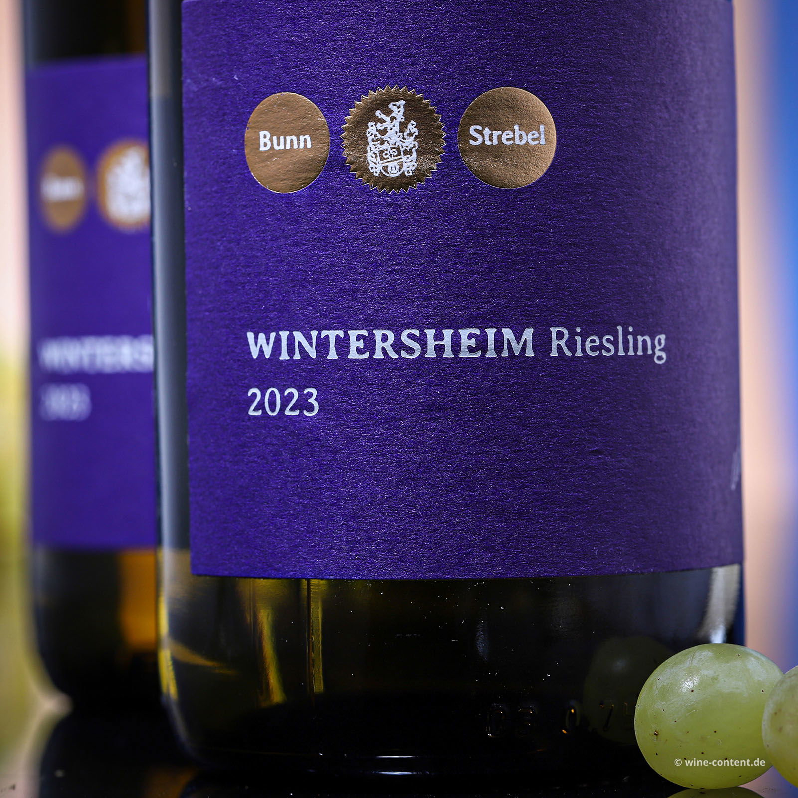 Riesling 2023 Wintersheim