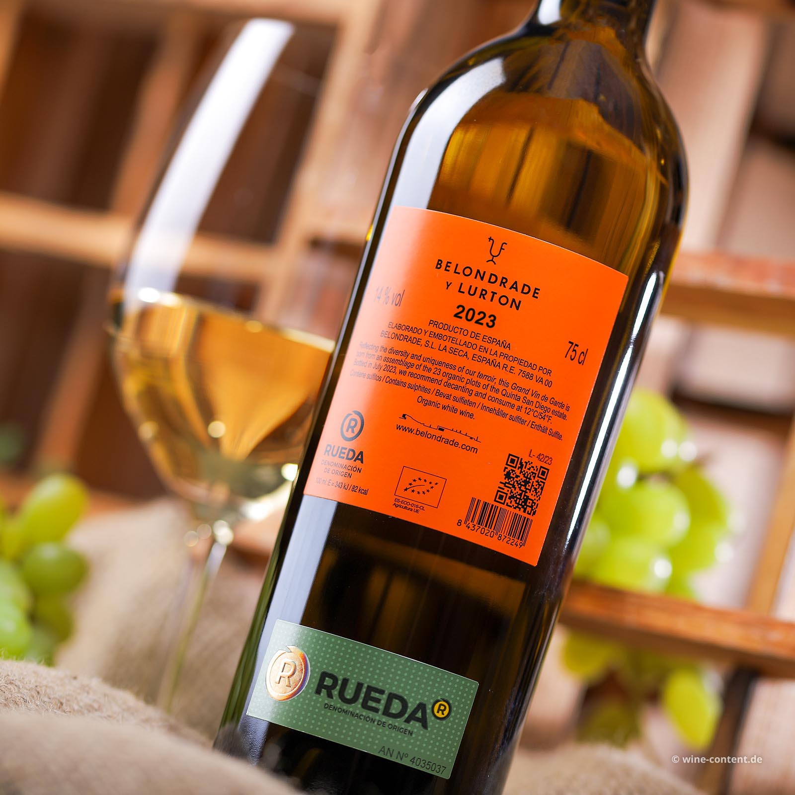 Verdejo 2023 Belondrade y Lurton Bio