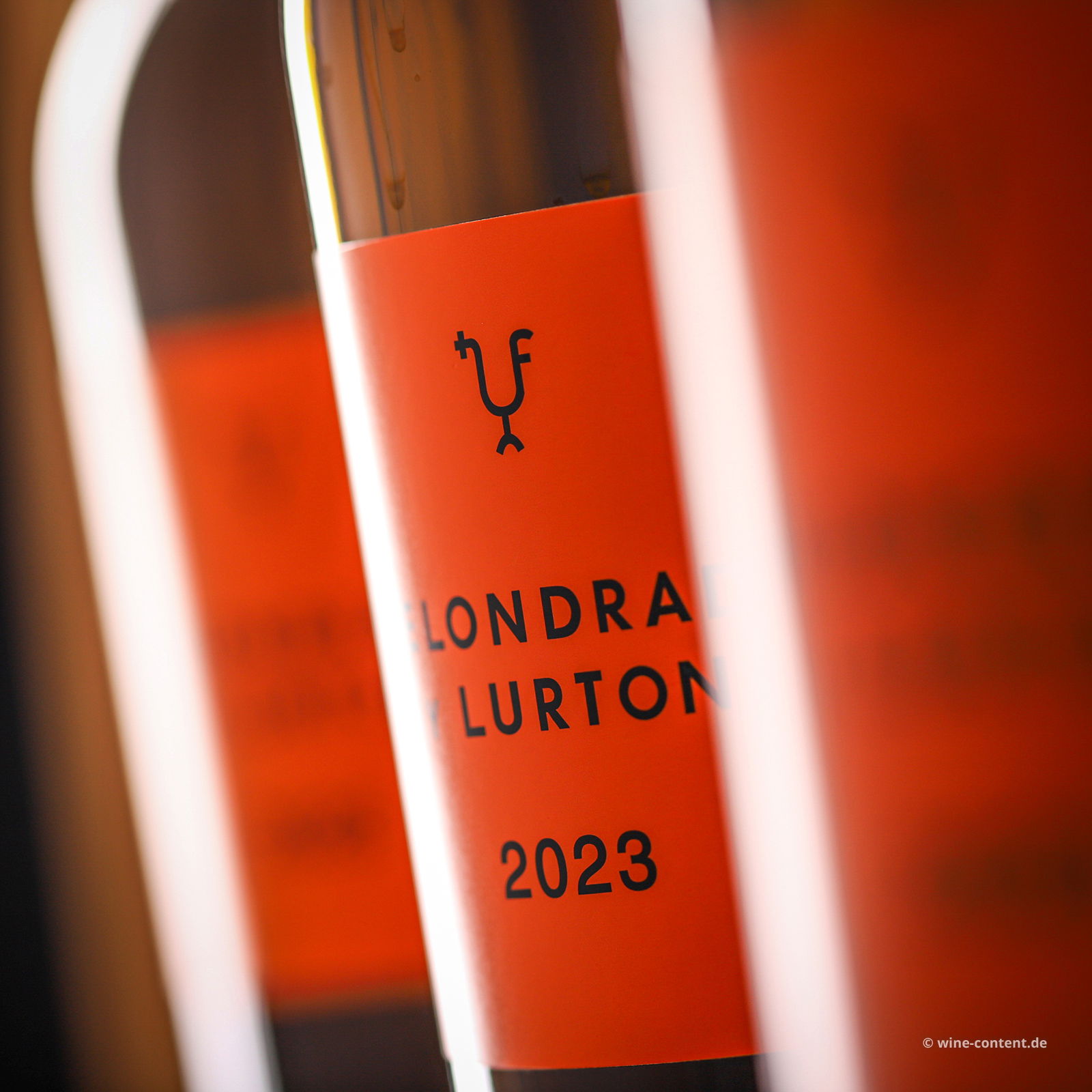 6er-Sparpaket Verdejo 2023 Belondrade y Lurton Bio