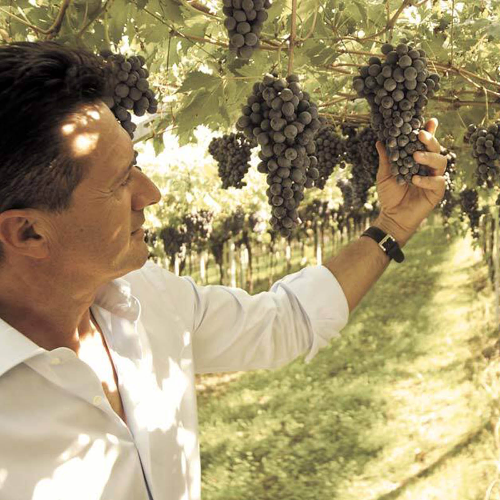 9er-Sparpaket Fior di Lago 2024 9er-Sparpaket Fior di Lago 2024