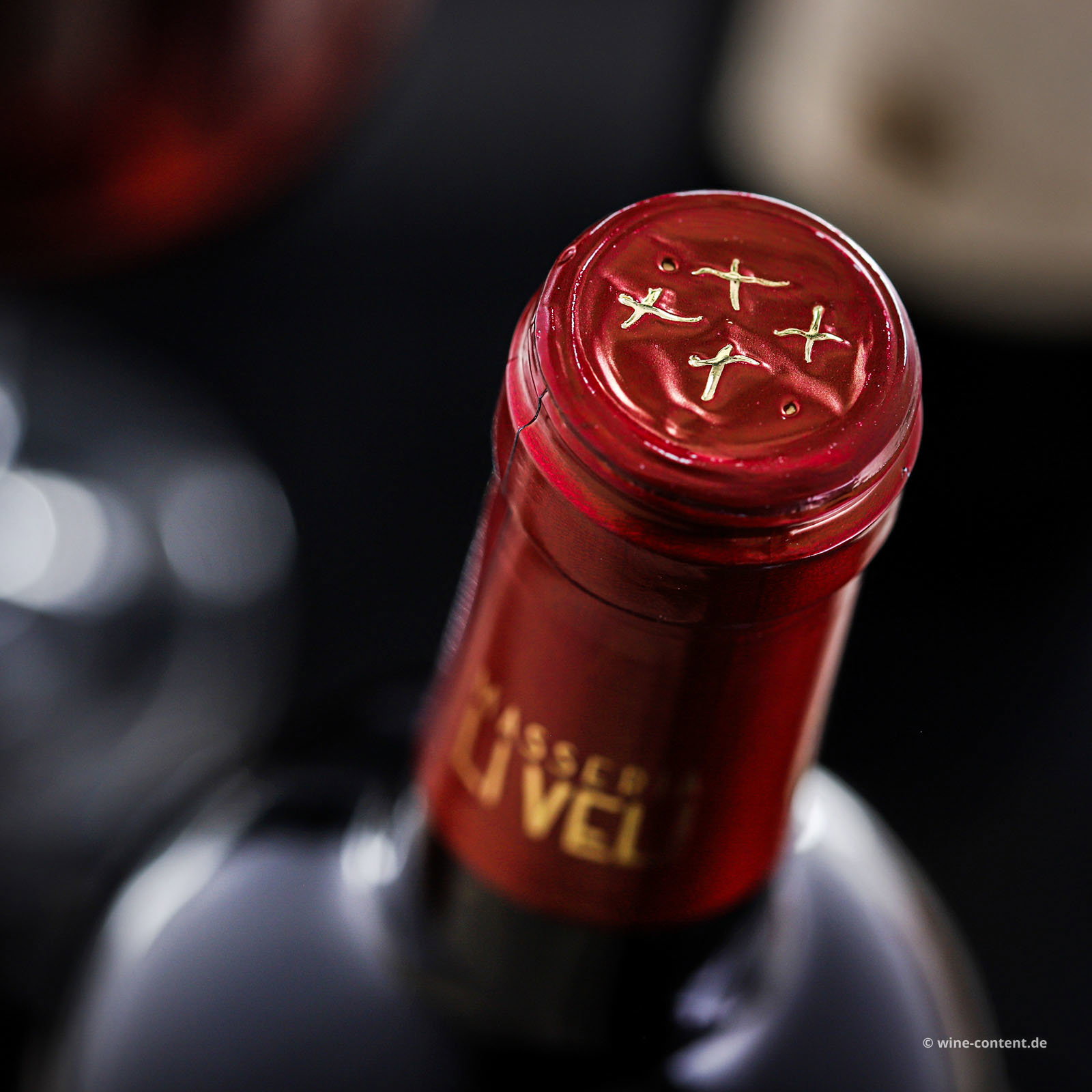 Primitivo Salento 2025 Orion