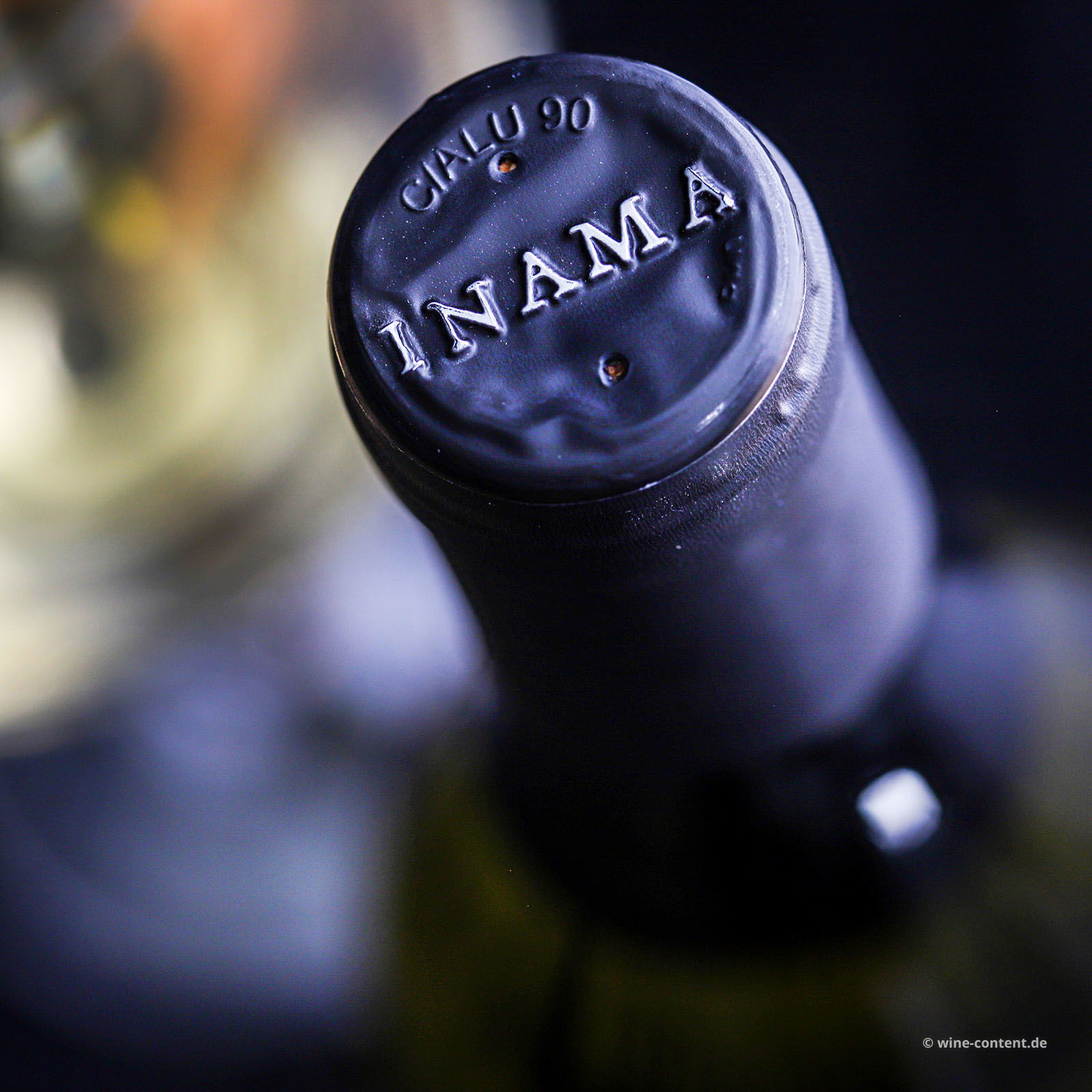 Sauvignon del Veneto 2024 Vulcaia