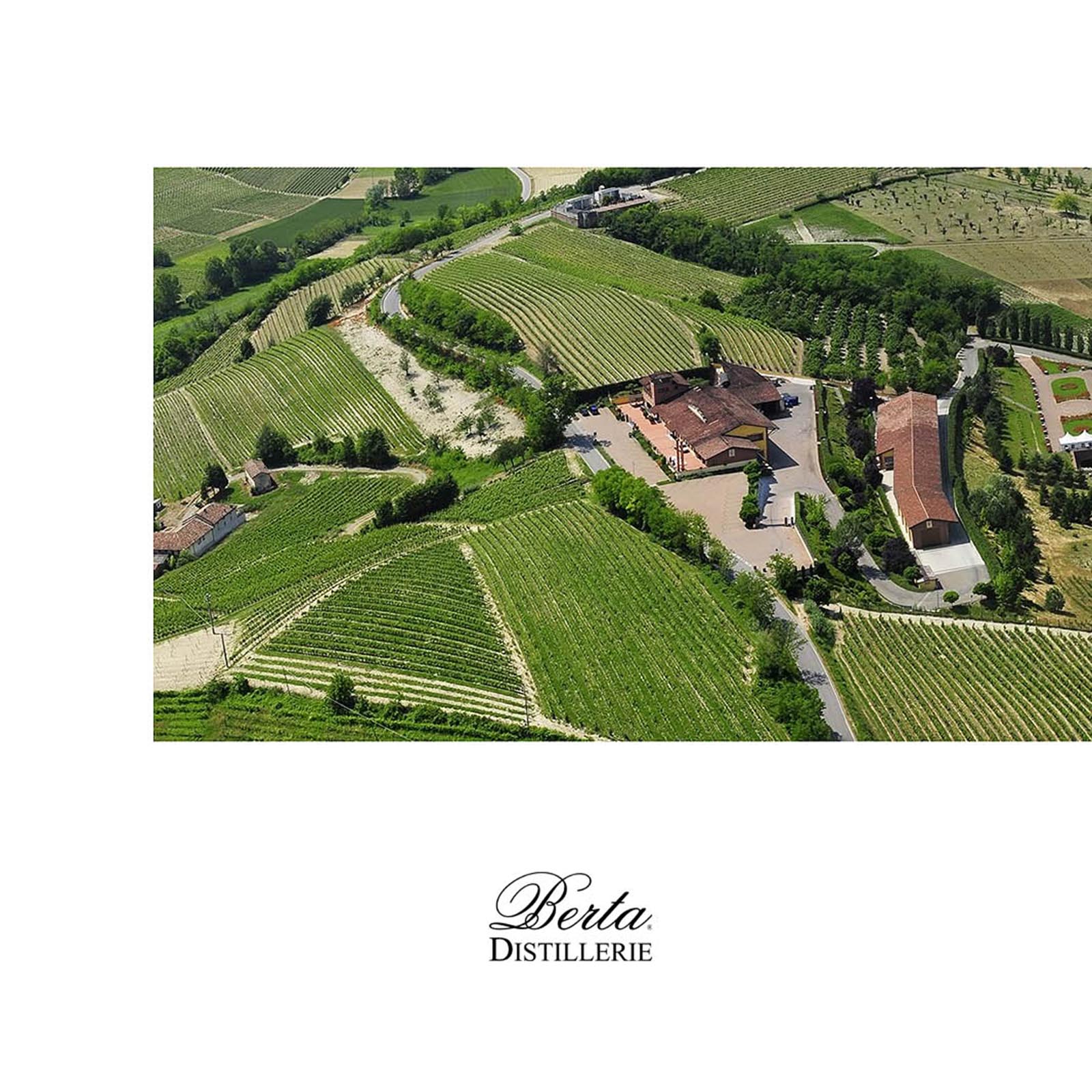 Grappa Tre Soli Tre 2017 (Nebbiolo)