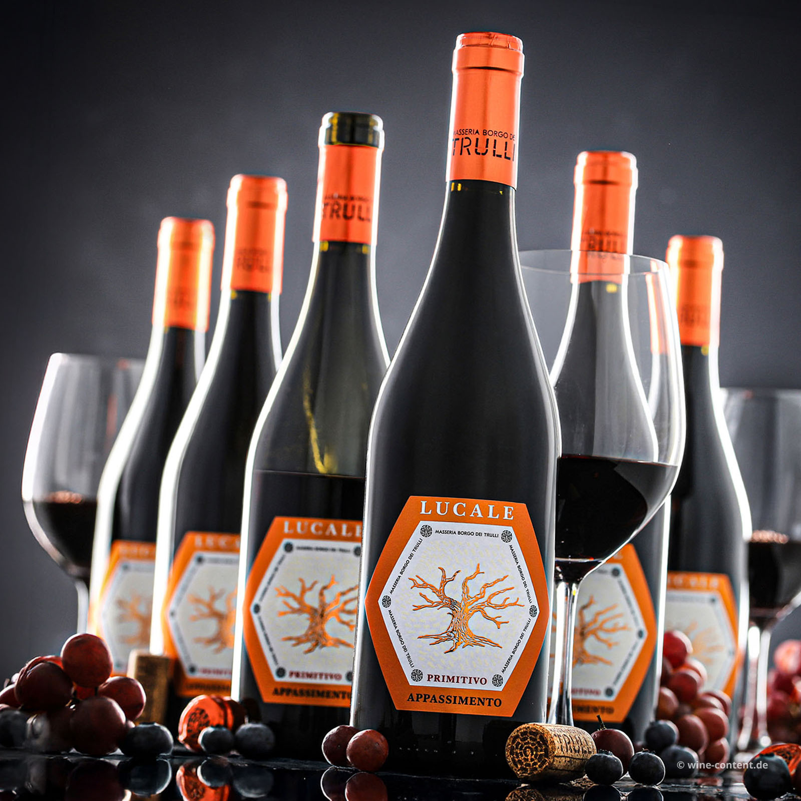 6er-Sparpaket Primitivo Appassimento 2025 Lucale