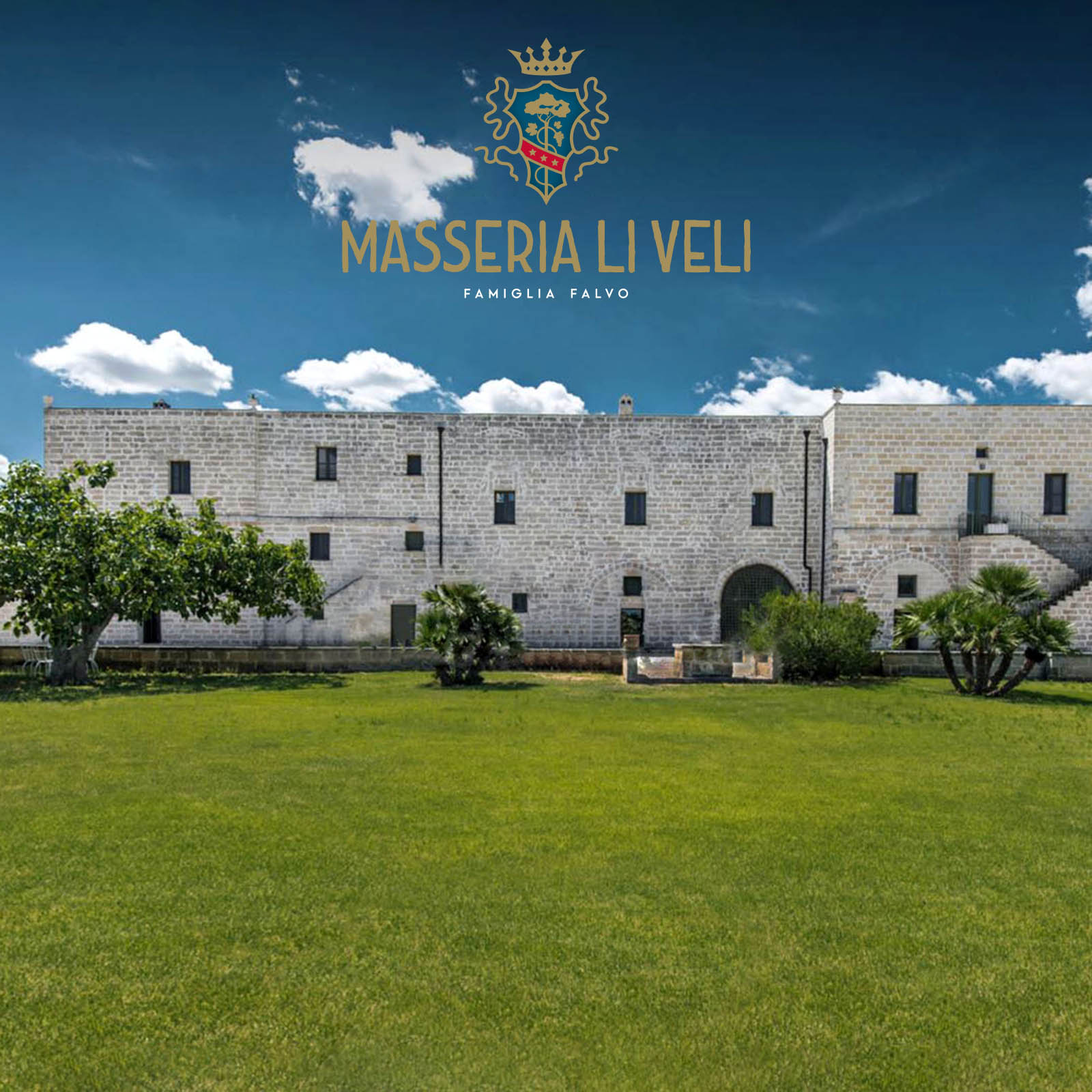 Verdeca Salento 2025 Askos