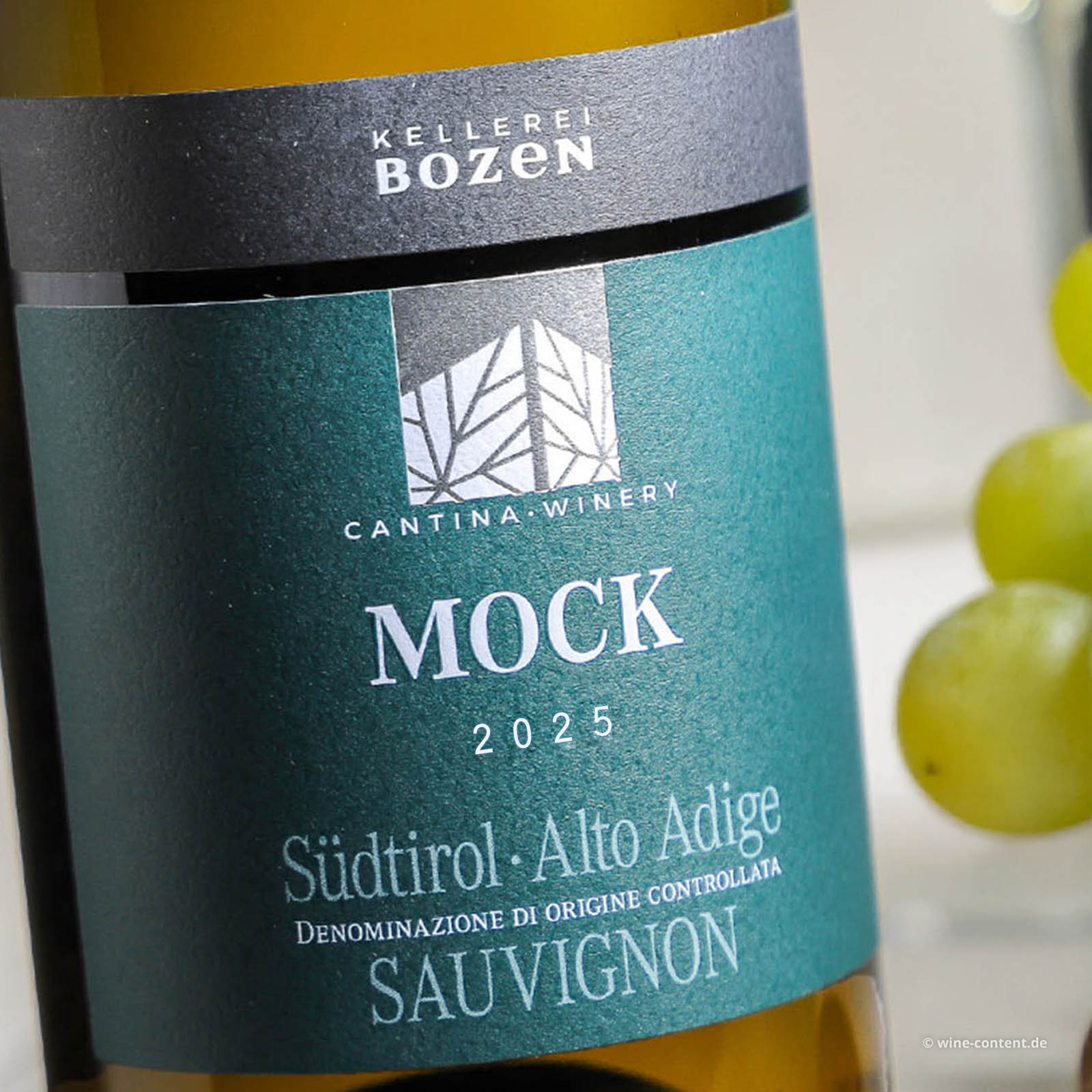 Sauvignon Blanc 2025 Mock