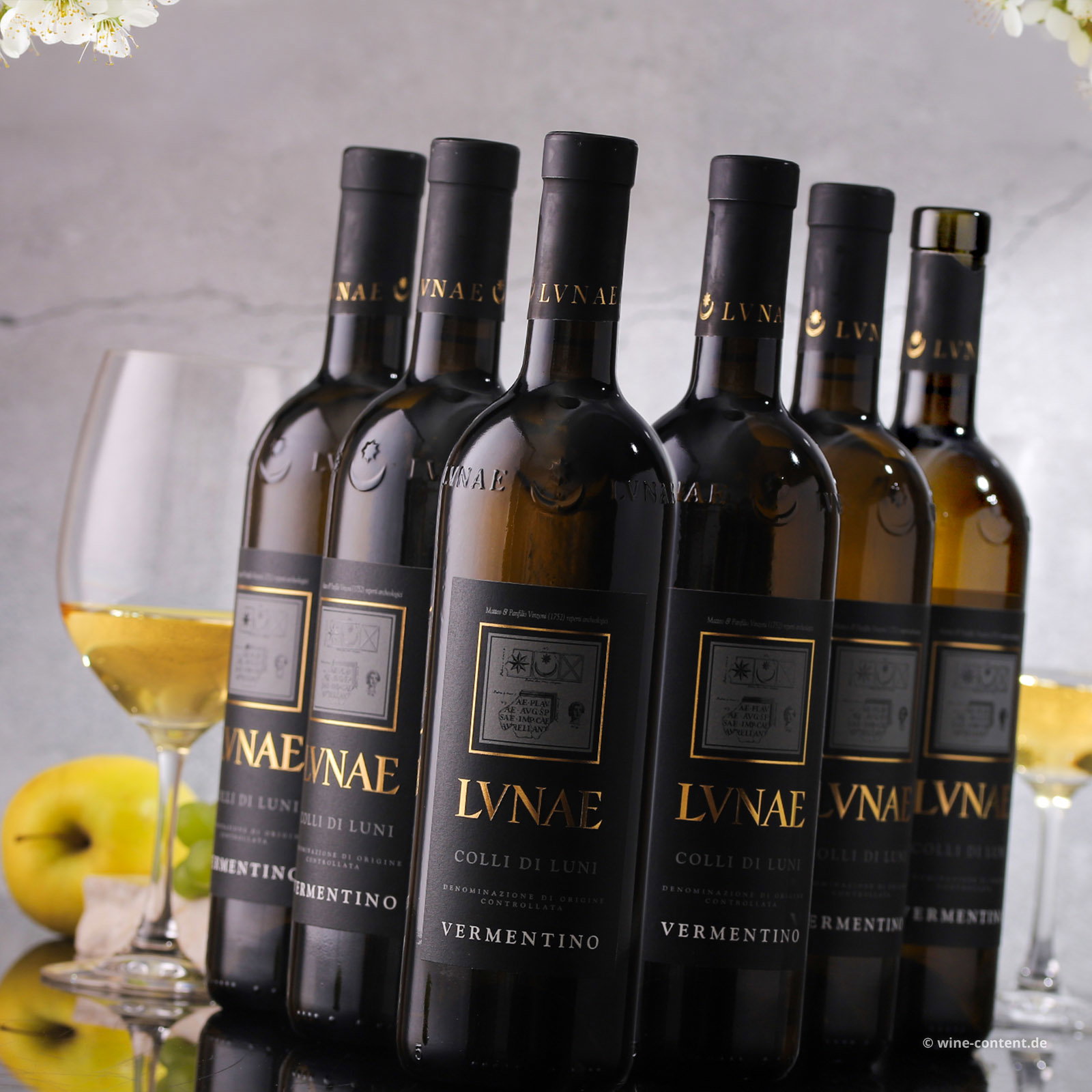6er-Sparpaket Vermentino Colli di Luni 2025 Etichetta Nera