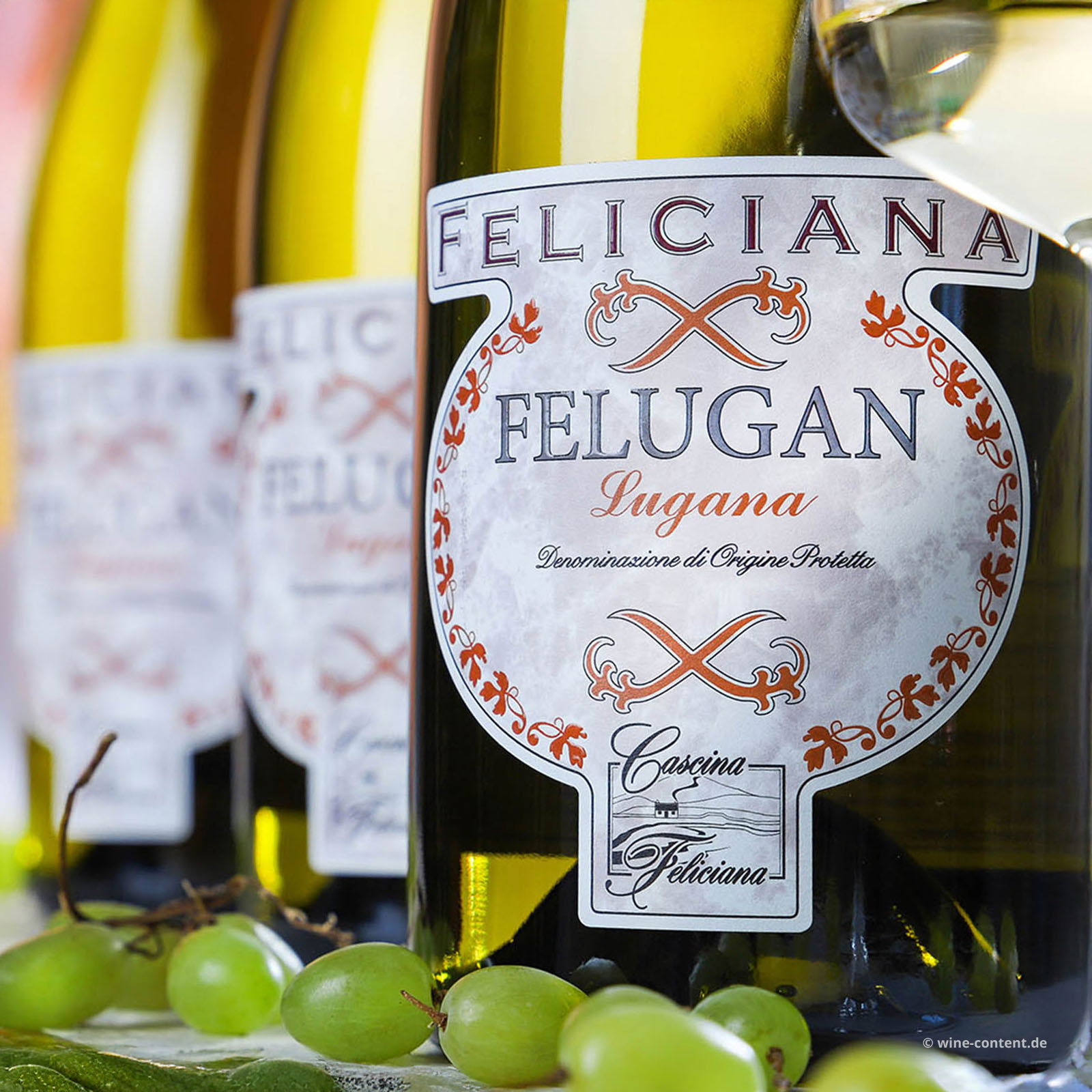 3er-Paket Lugana 2024 Felugan Magnum