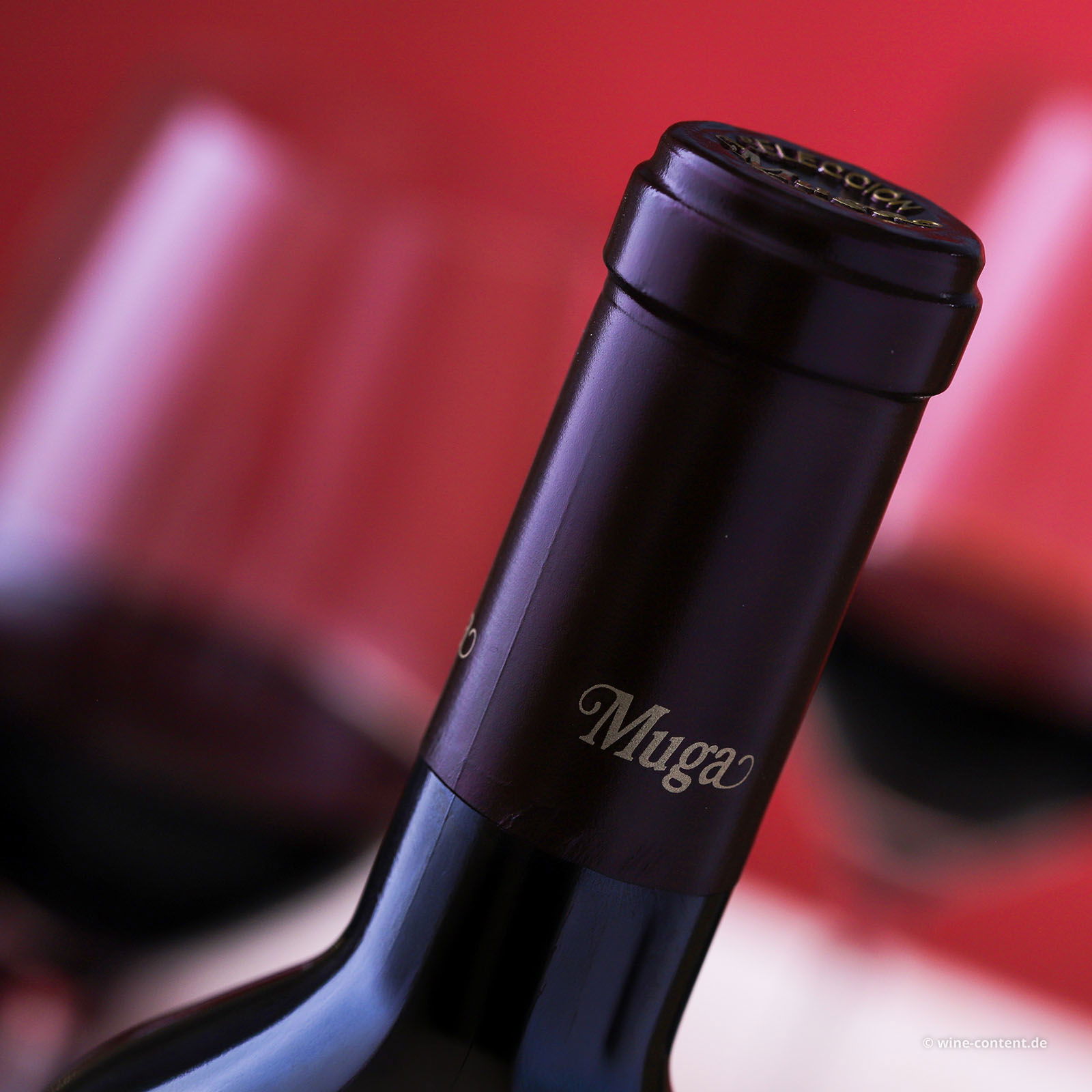Rioja Reserva 2021 Selección Especial
