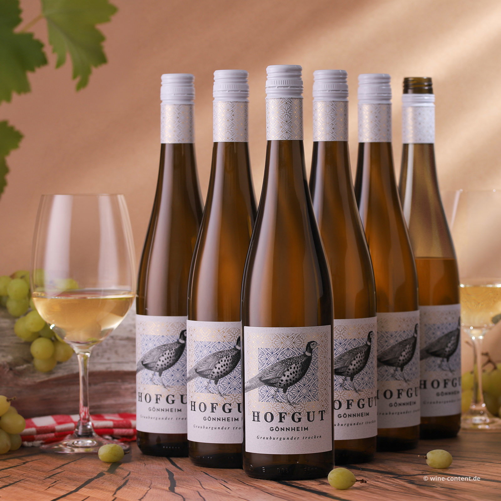 6er-Sparpaket Grauburgunder 2025 Gönnheim Bio