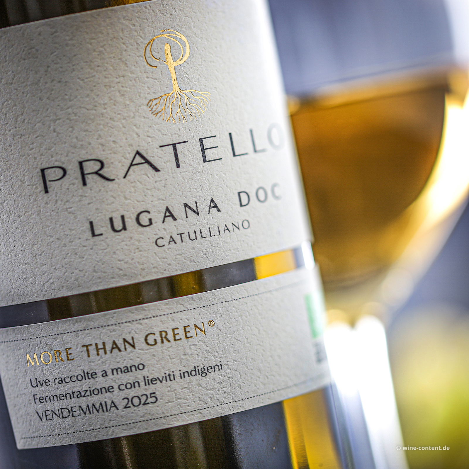 6er-Sparpaket Lugana 2025 Catulliano Bio