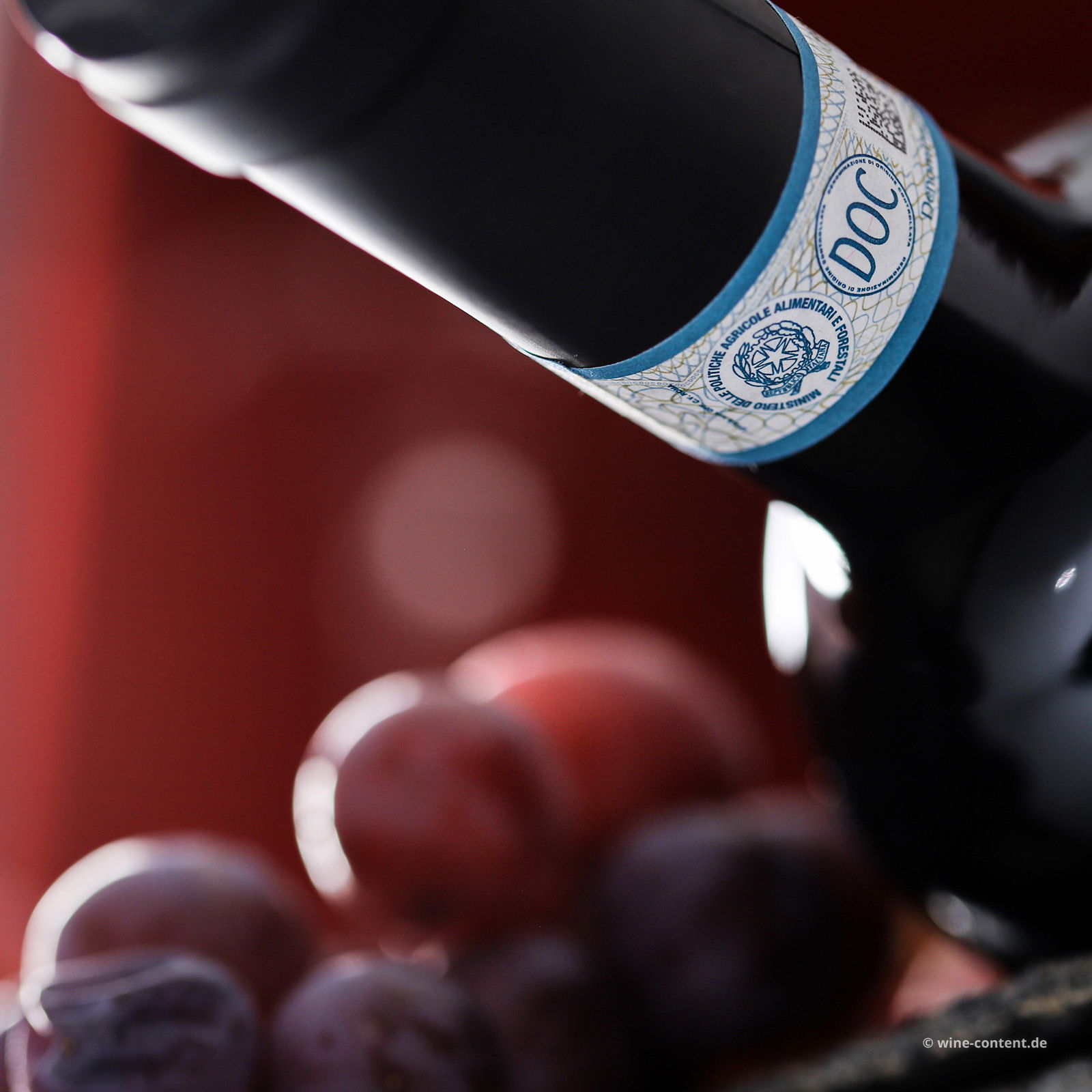 Rosso di Montalcino 2023 Jacopus