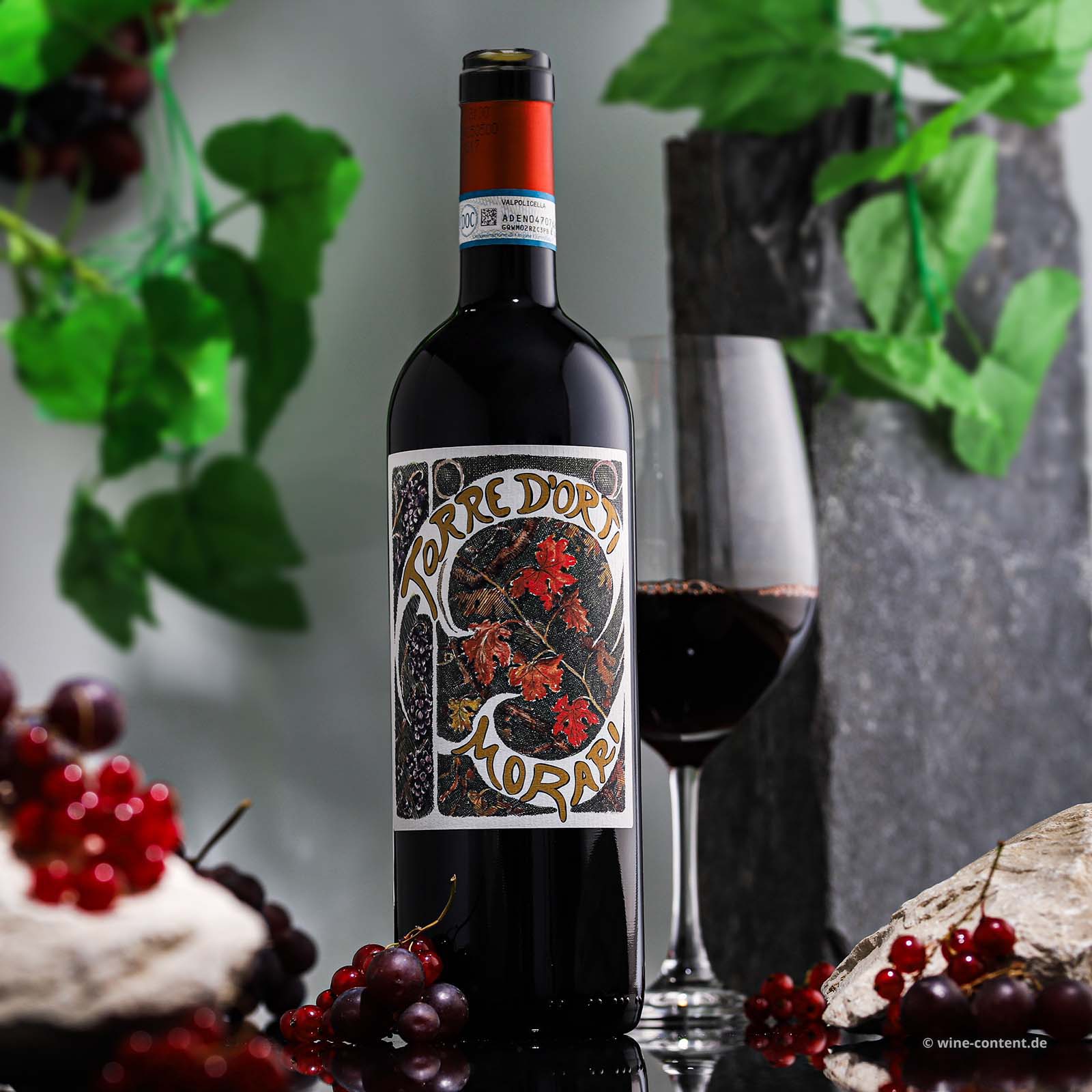 Valpolicella Superiore 2023 Morari