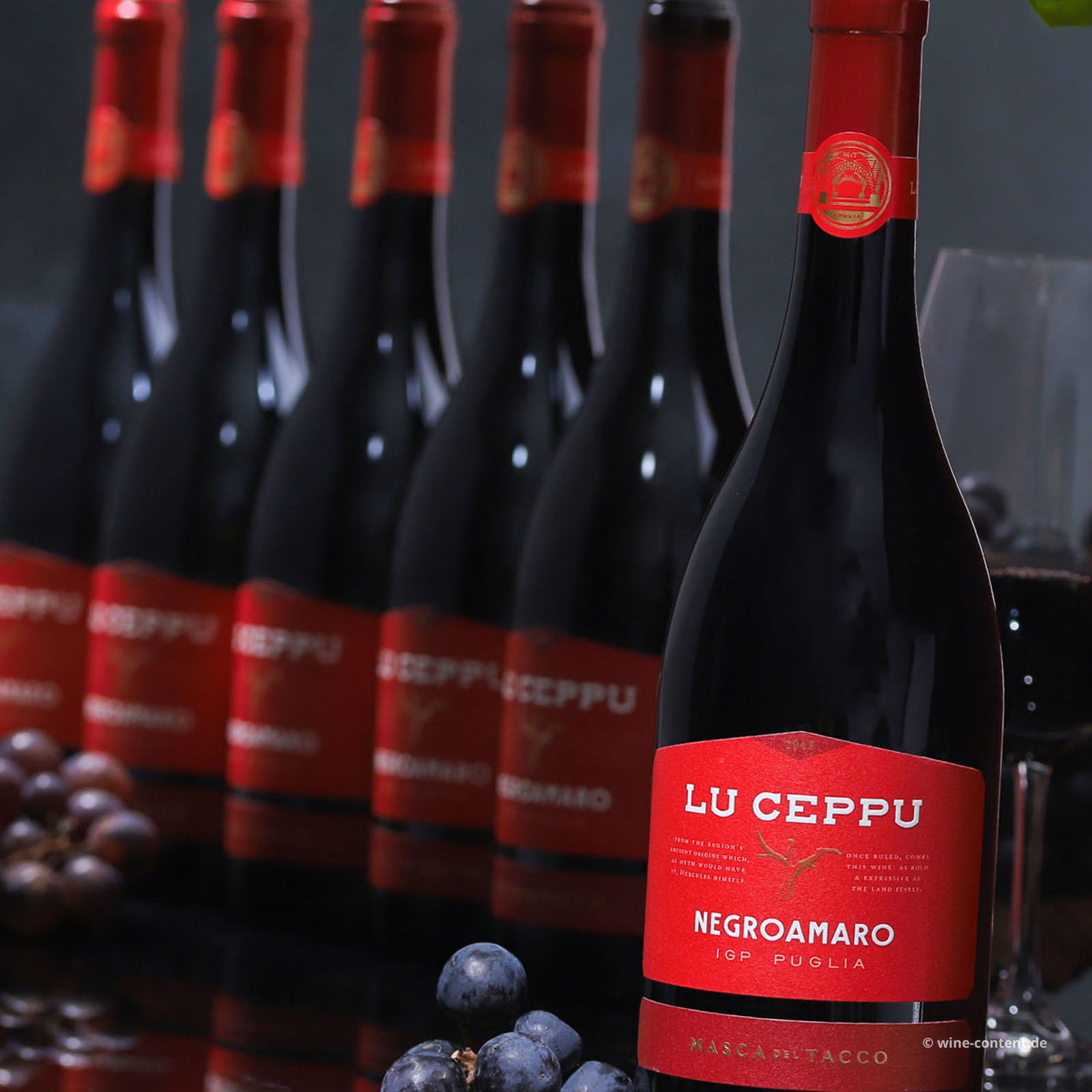 6er-Sparpaket Negroamaro 2025 Lu Ceppu