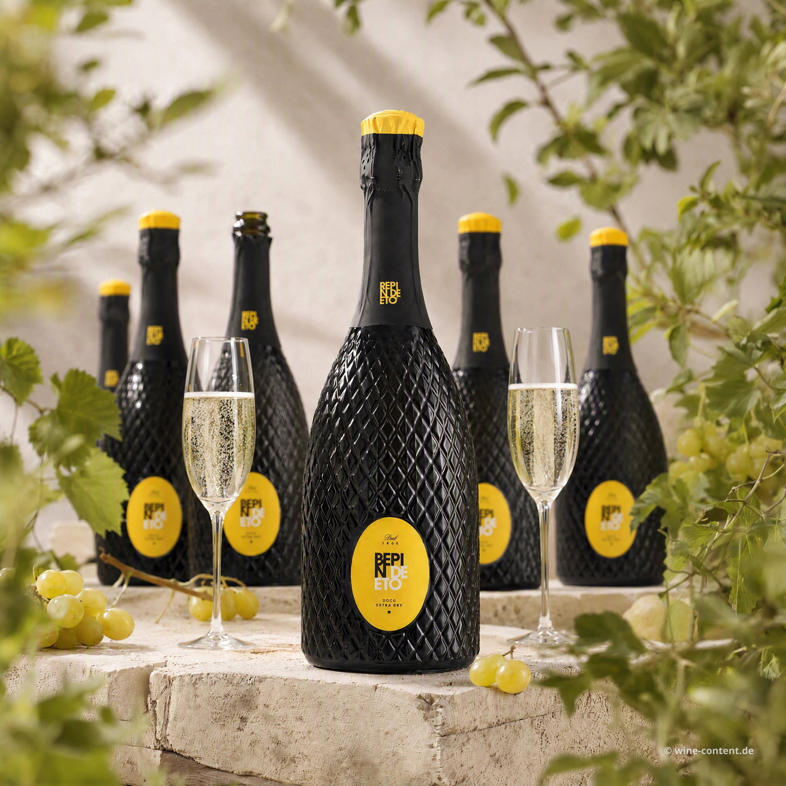 6er-Sparpaket Prosecco Superiore 2025 Extra Dry