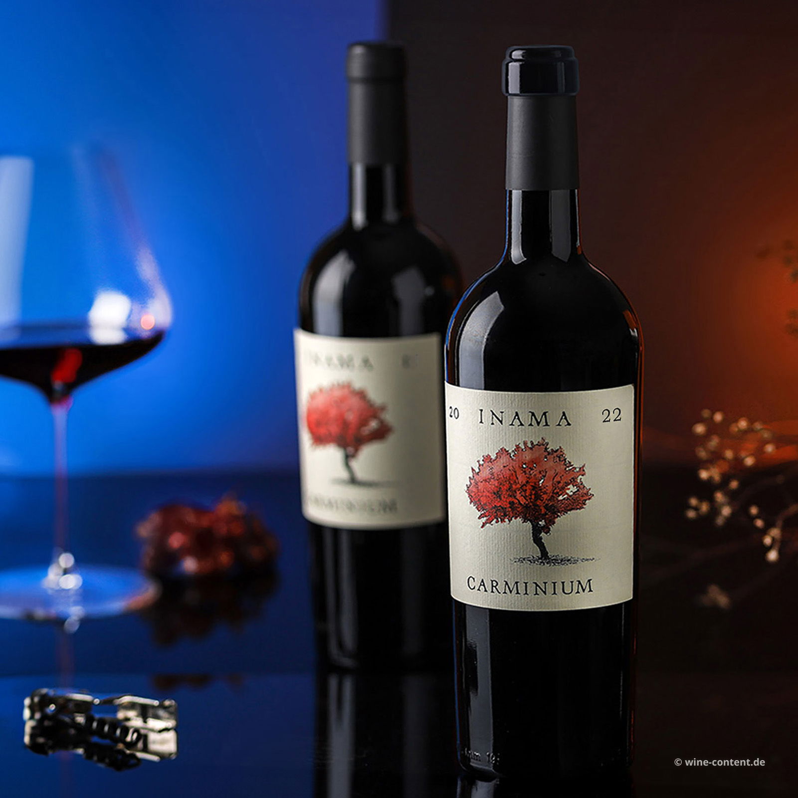 Carmenere 2022 Carminium