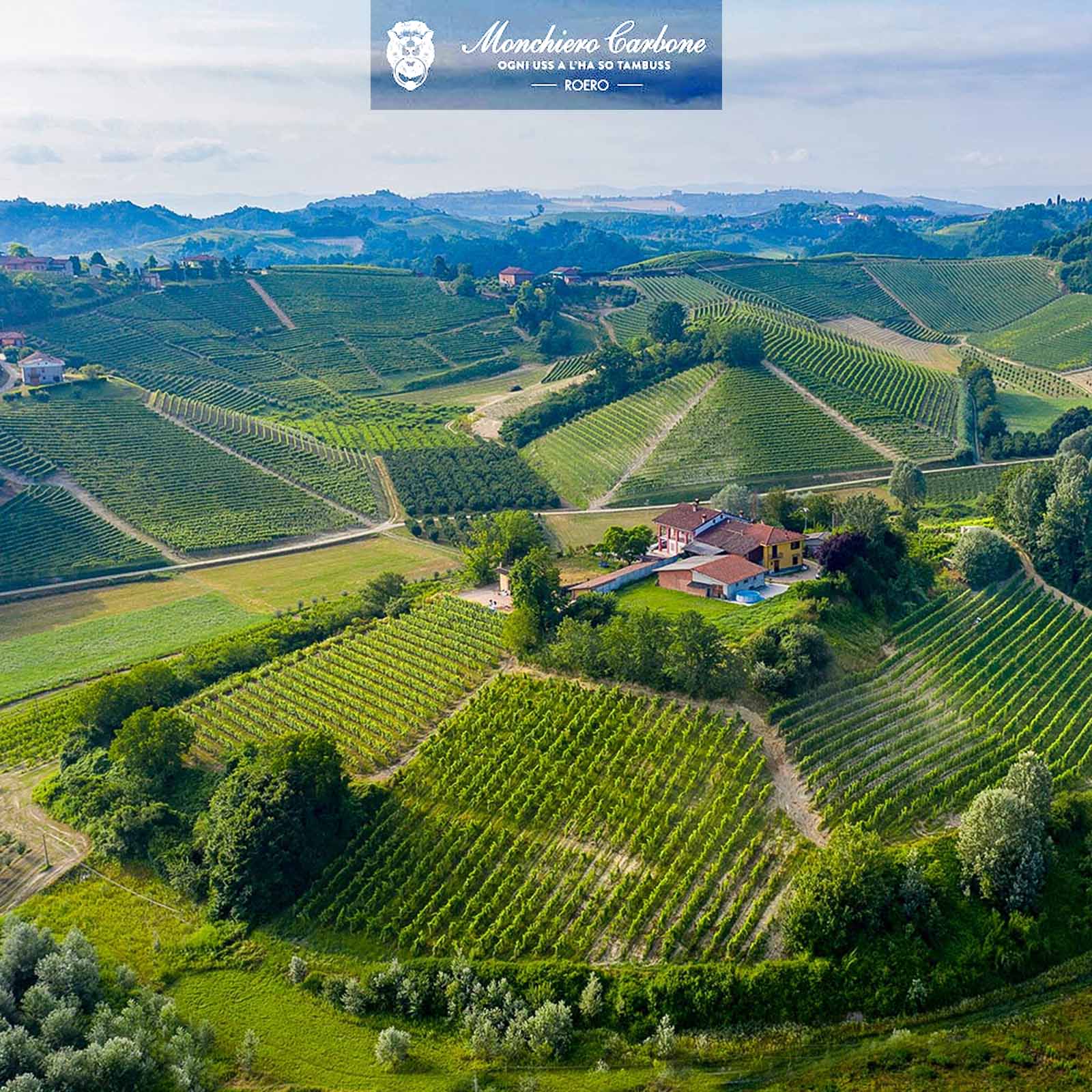 6er-Sparpaket Arneis Roero 2025 Cecu