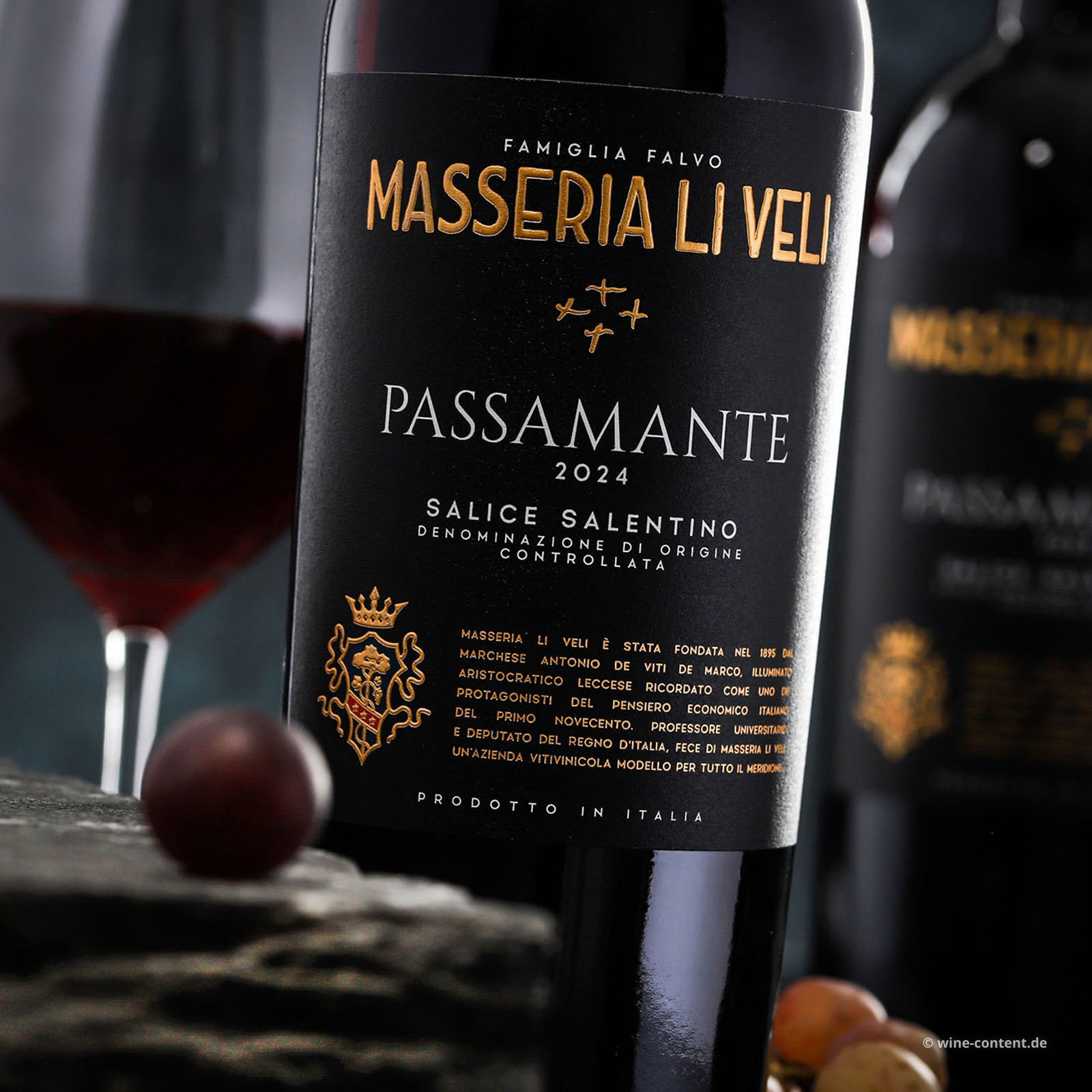 Negroamaro Salice Salentino 2024 Passamante