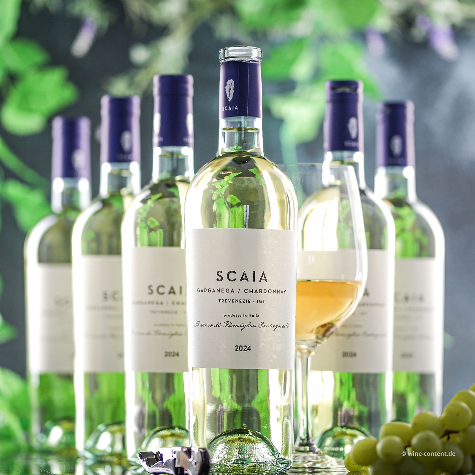6er-Sparpaket Scaia Bianco 2024
