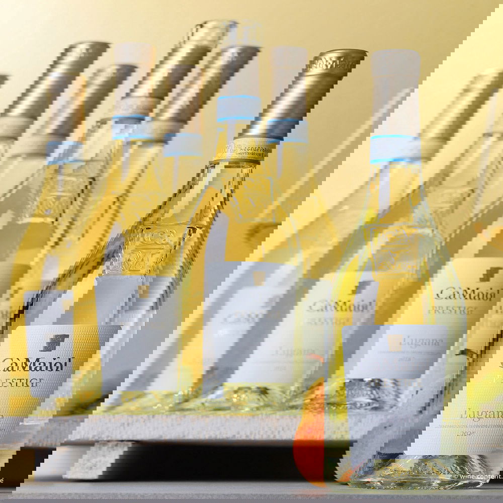 6er-Sparpaket Lugana 2024 Prestige