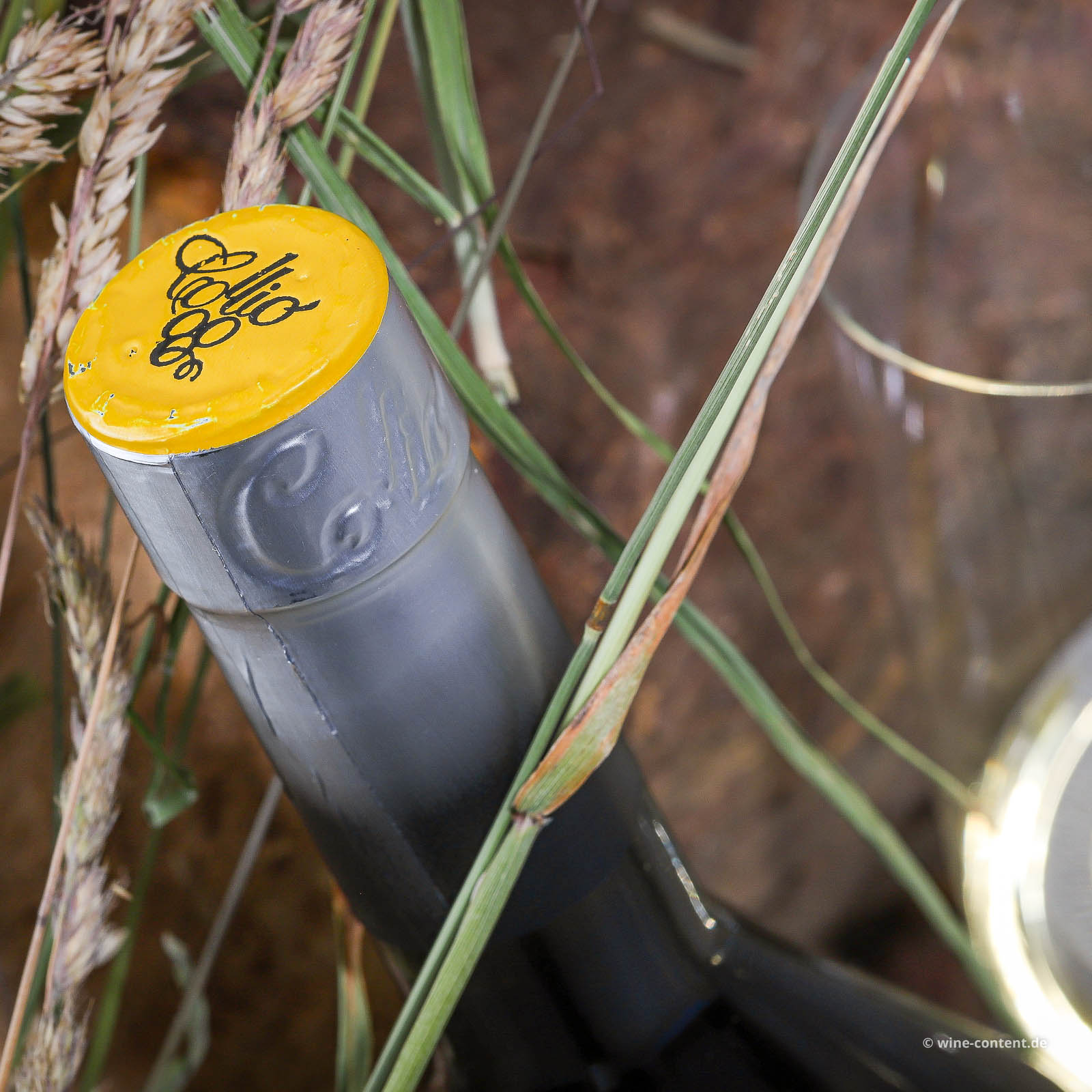Ribolla Gialla Collio 2025