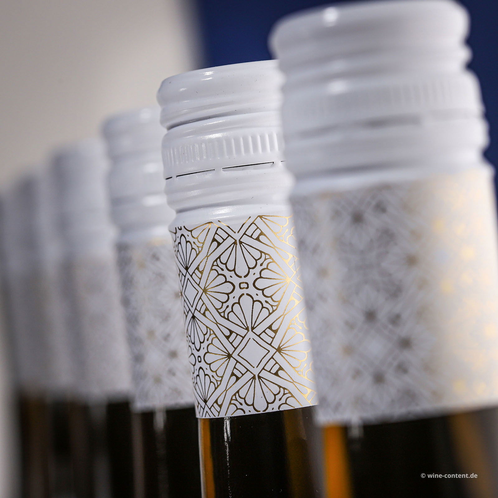 6er-Sparpaket Grauburgunder 2025 Gönnheim Bio