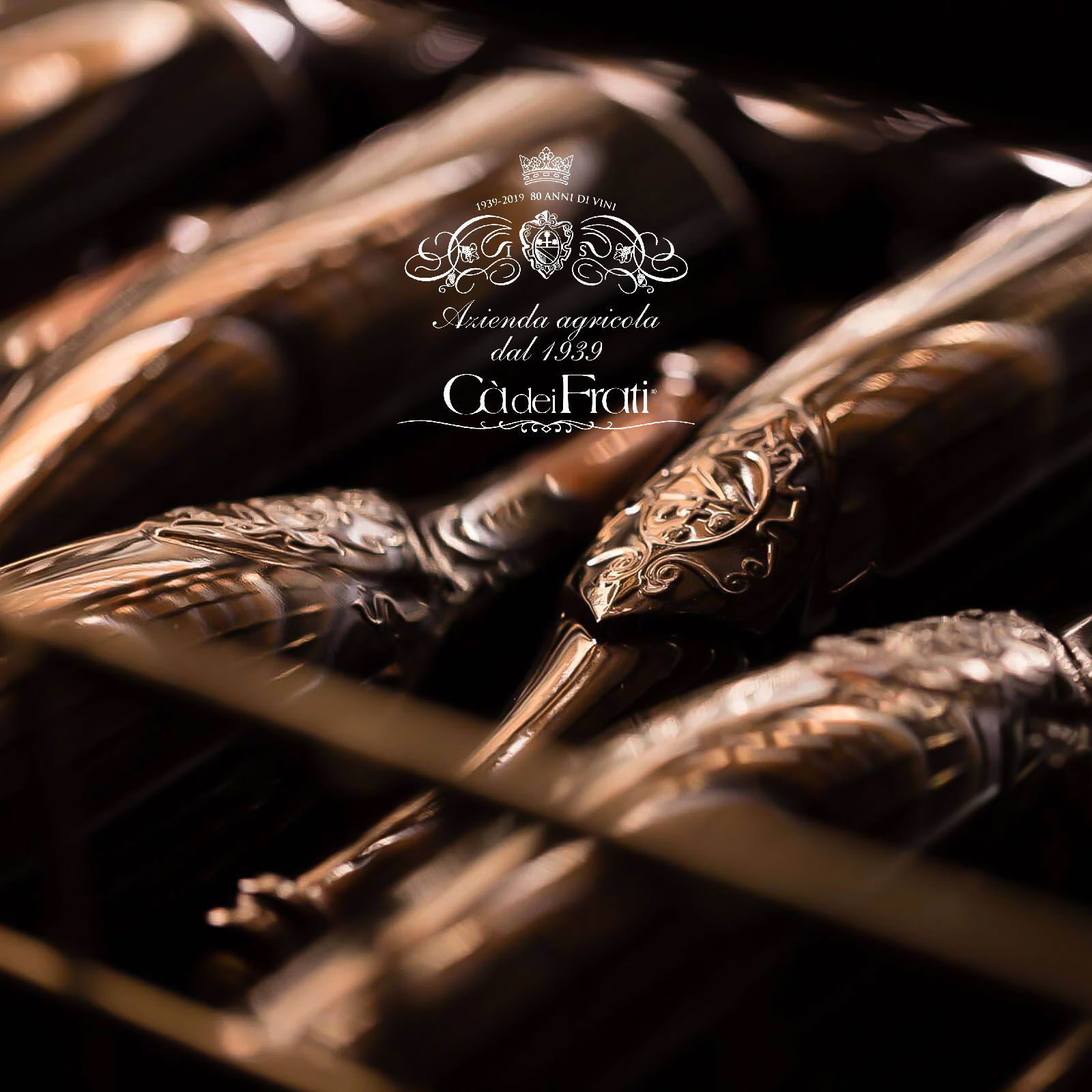 6er-Sparpaket Rosa dei Frati 2024