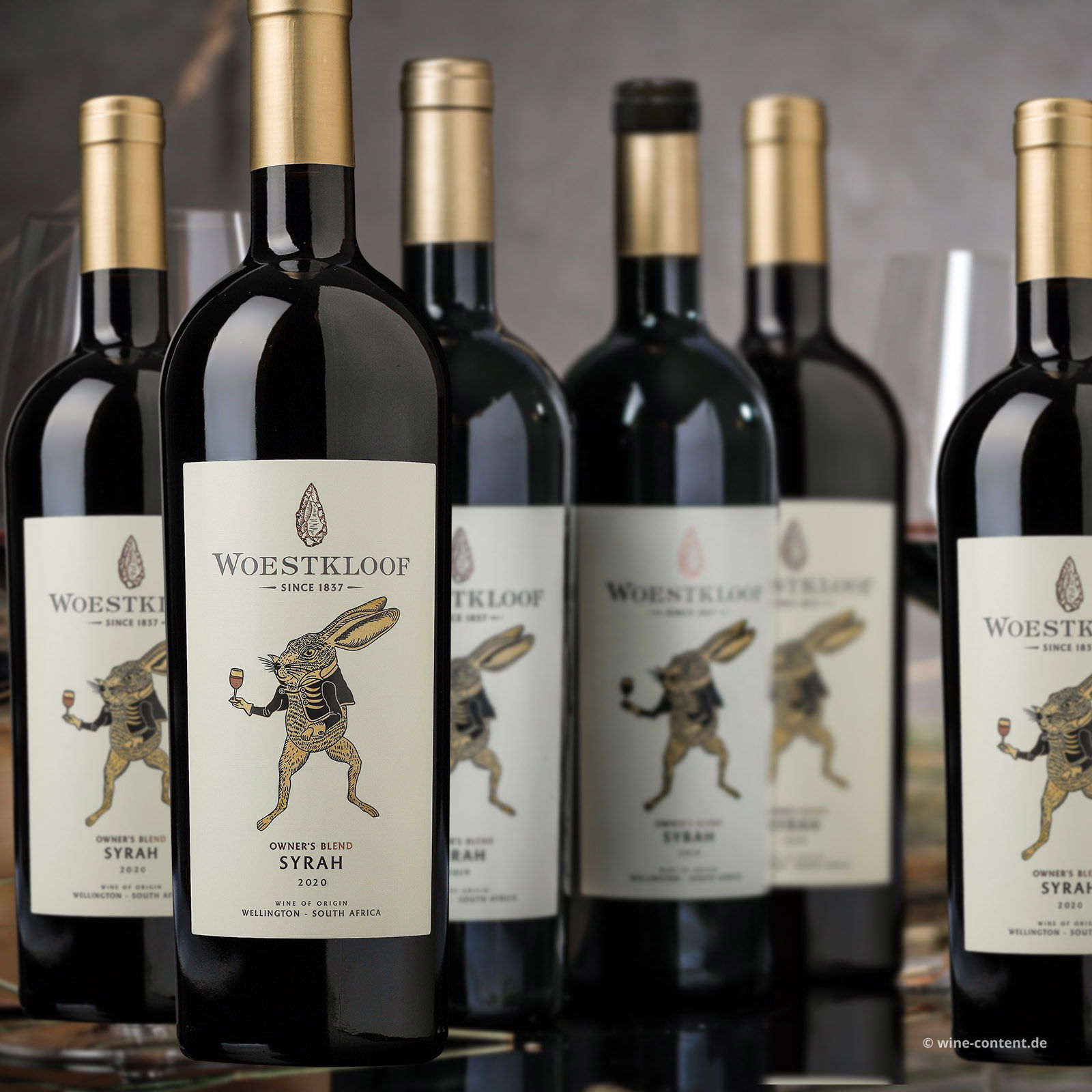 5+1 Sparpaket Syrah 2020 Owner's Blend