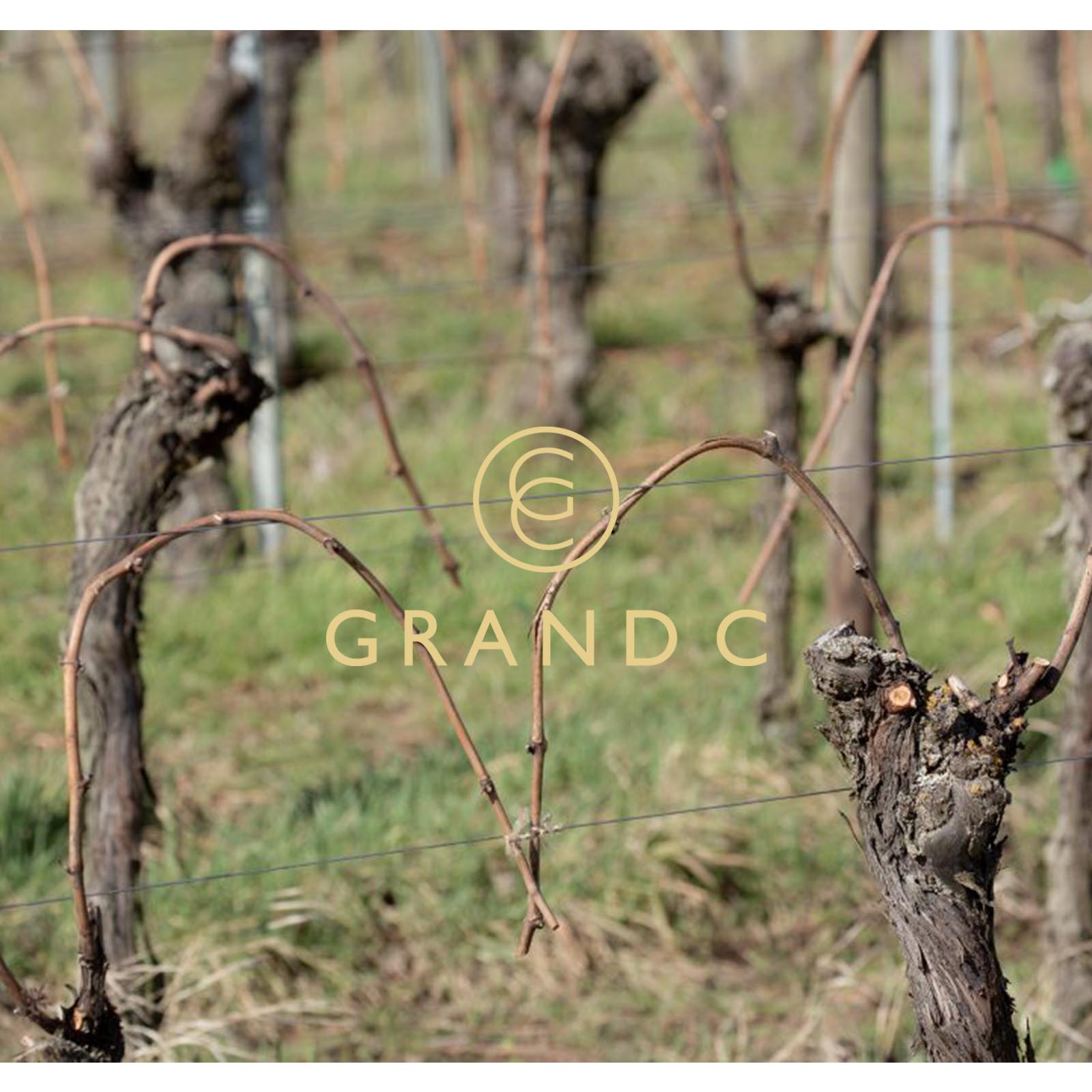 Crémant d'Alsace Chardonnay 2021 Extra Brut
