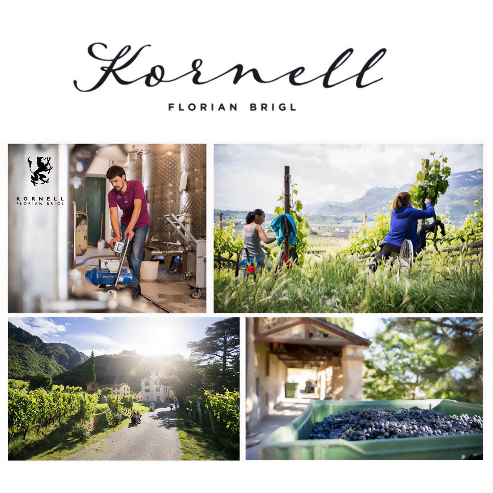 6er-Holzkiste Merlot Riserva 2018 Vigna Kressfeld