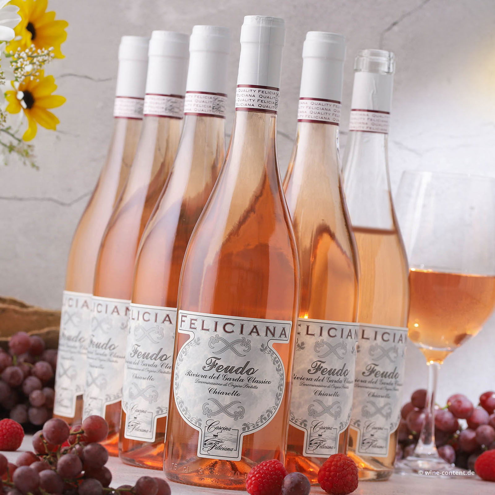 6er-Sparpaket Chiaretto Garda Classico 2025 Feudo