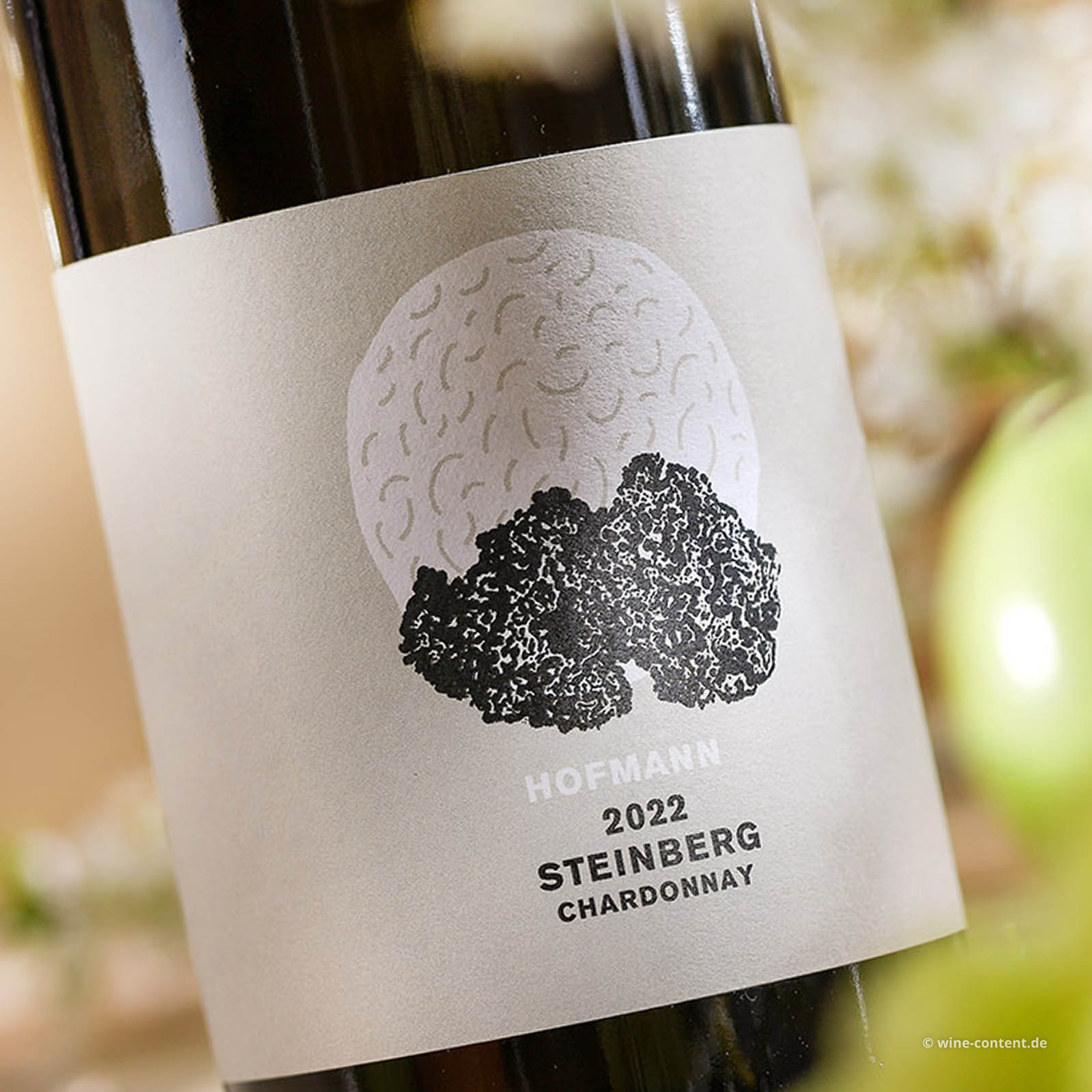 Chardonnay 2022 Steinberg