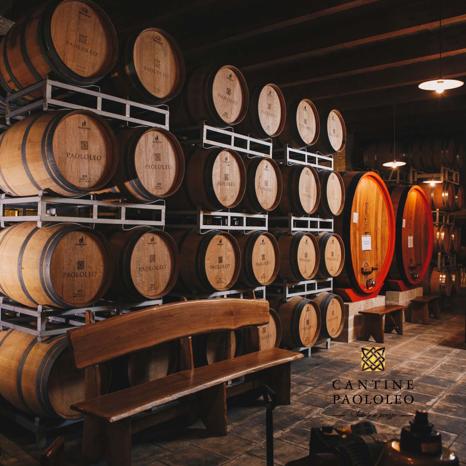 6er-Sparpaket Primitivo Salento 2021 Fiore di Vigna 6er-Sparpaket Primitivo Salento 2021 Fiore di Vigna