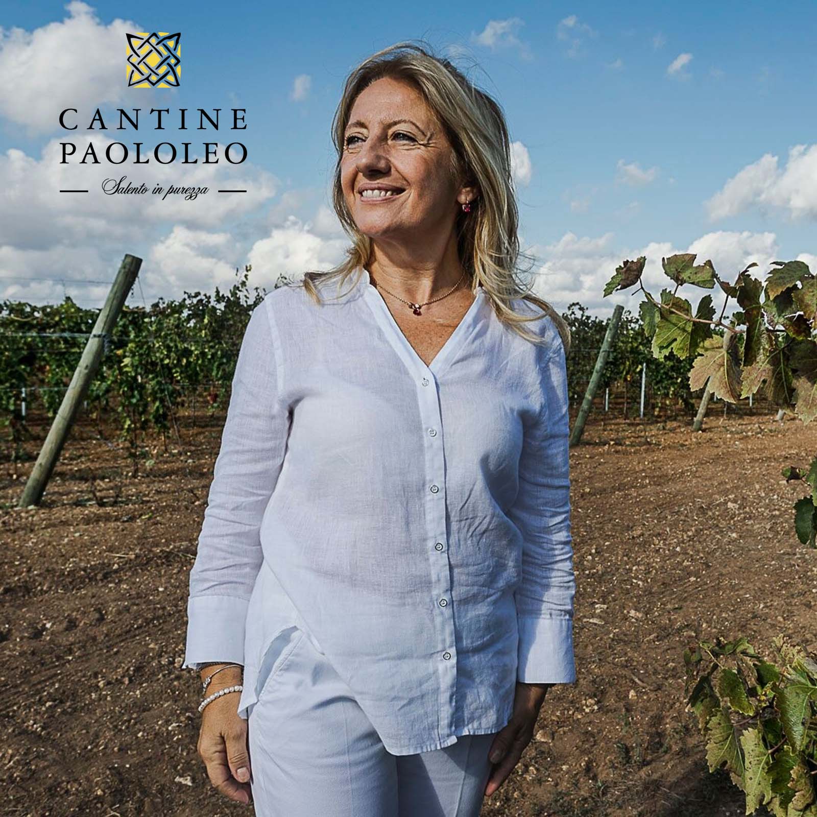 6er-Sparpaket Primitivo di Manduria 2023 Passo del Cardinale