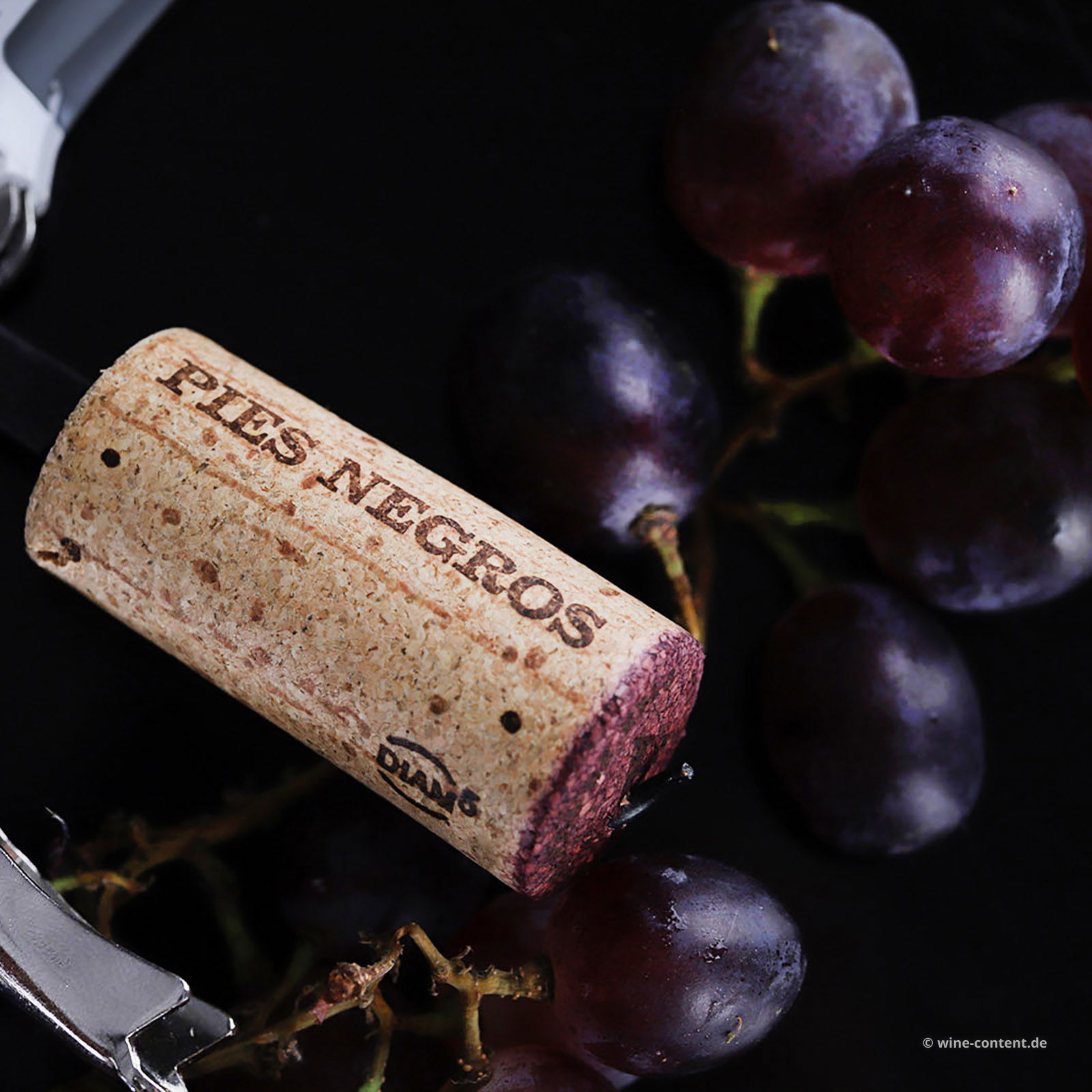 Rioja 2022 Pies Negros