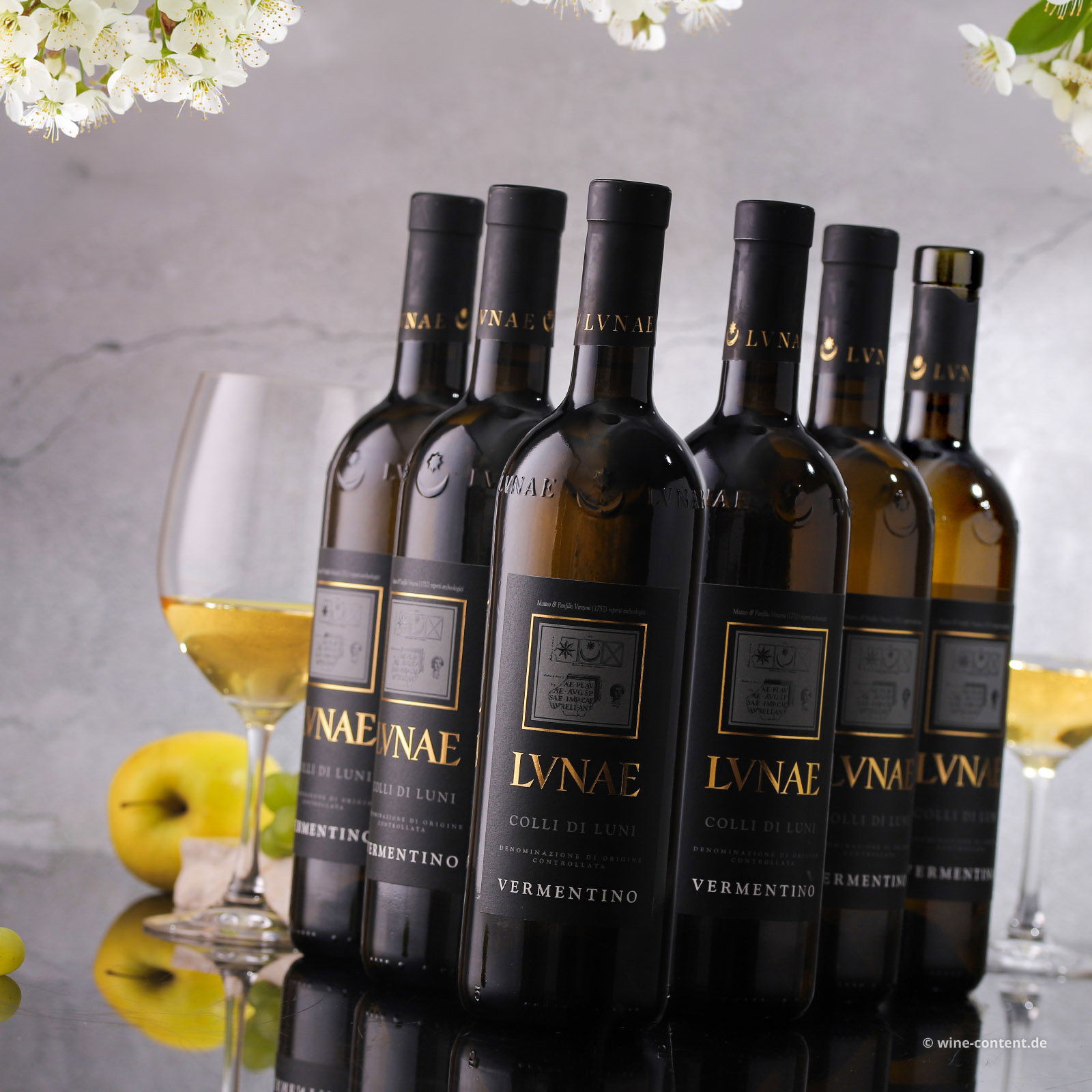 6er-Sparpaket Vermentino Colli di Luni 2025 Etichetta Nera