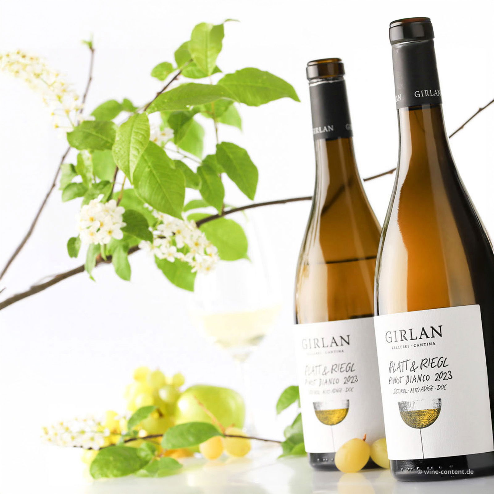 Pinot Bianco 2023 Platt & Riegl