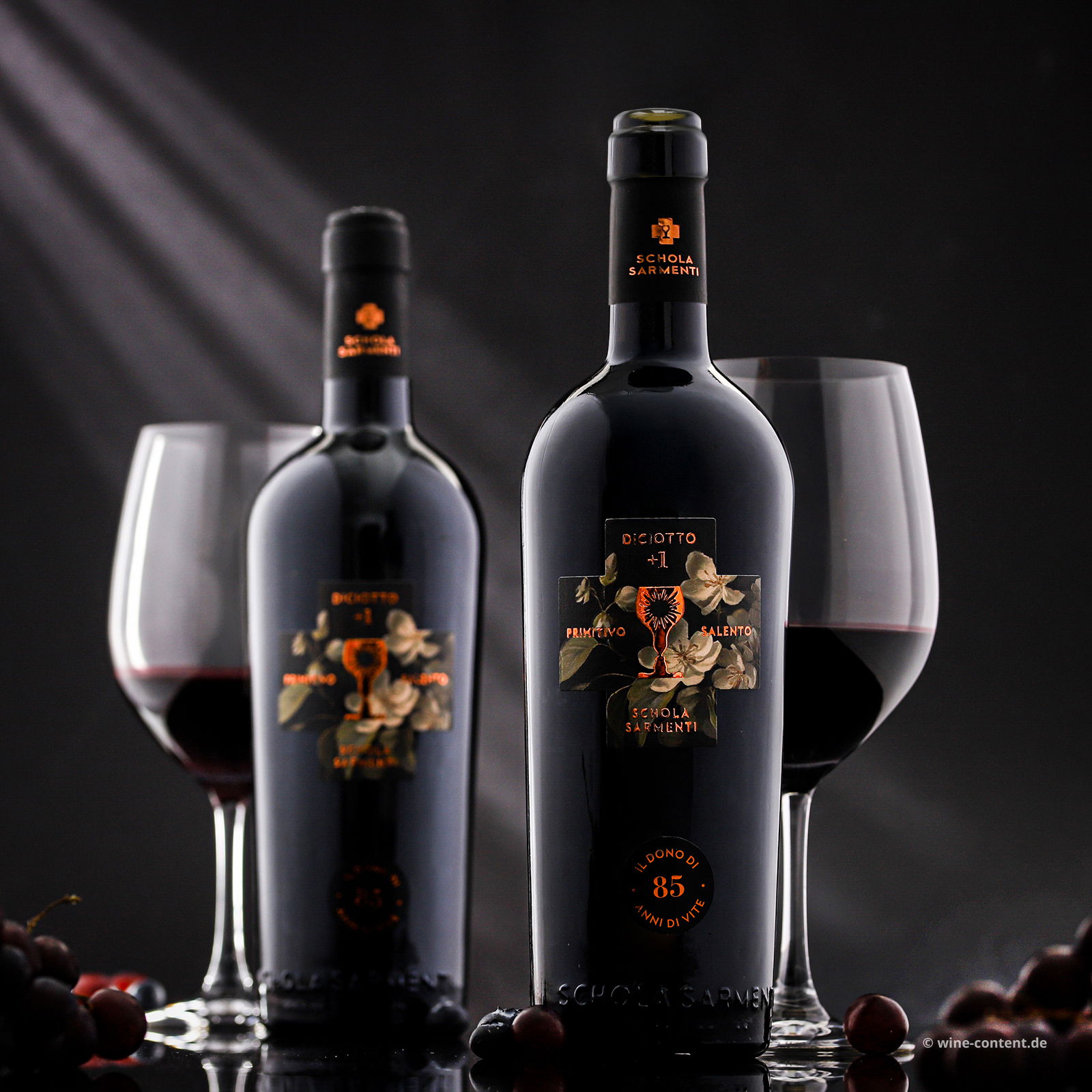 Primitivo Salento 2021 Diciotto +1