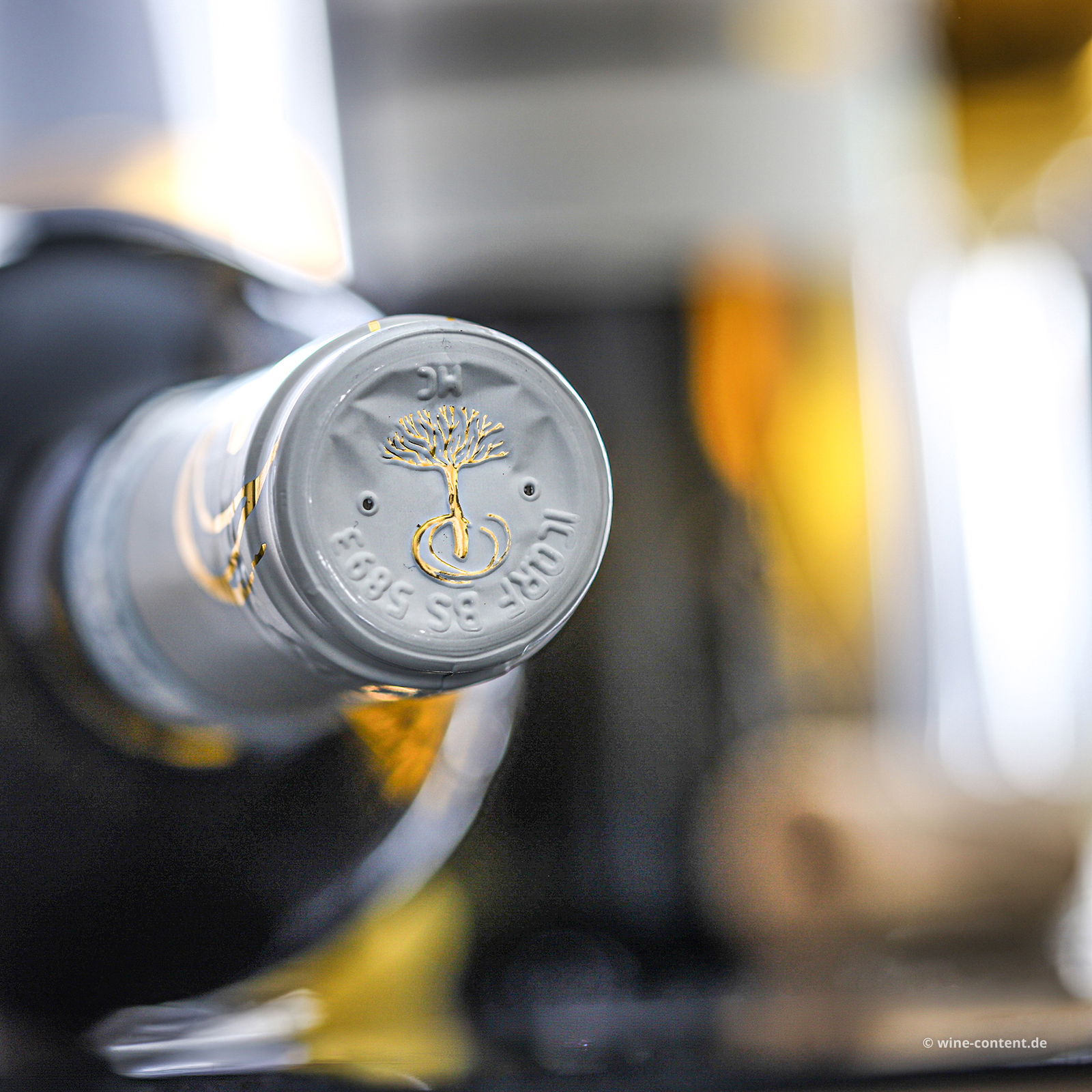 6er-Sparpaket Lugana 2025 Catulliano Bio